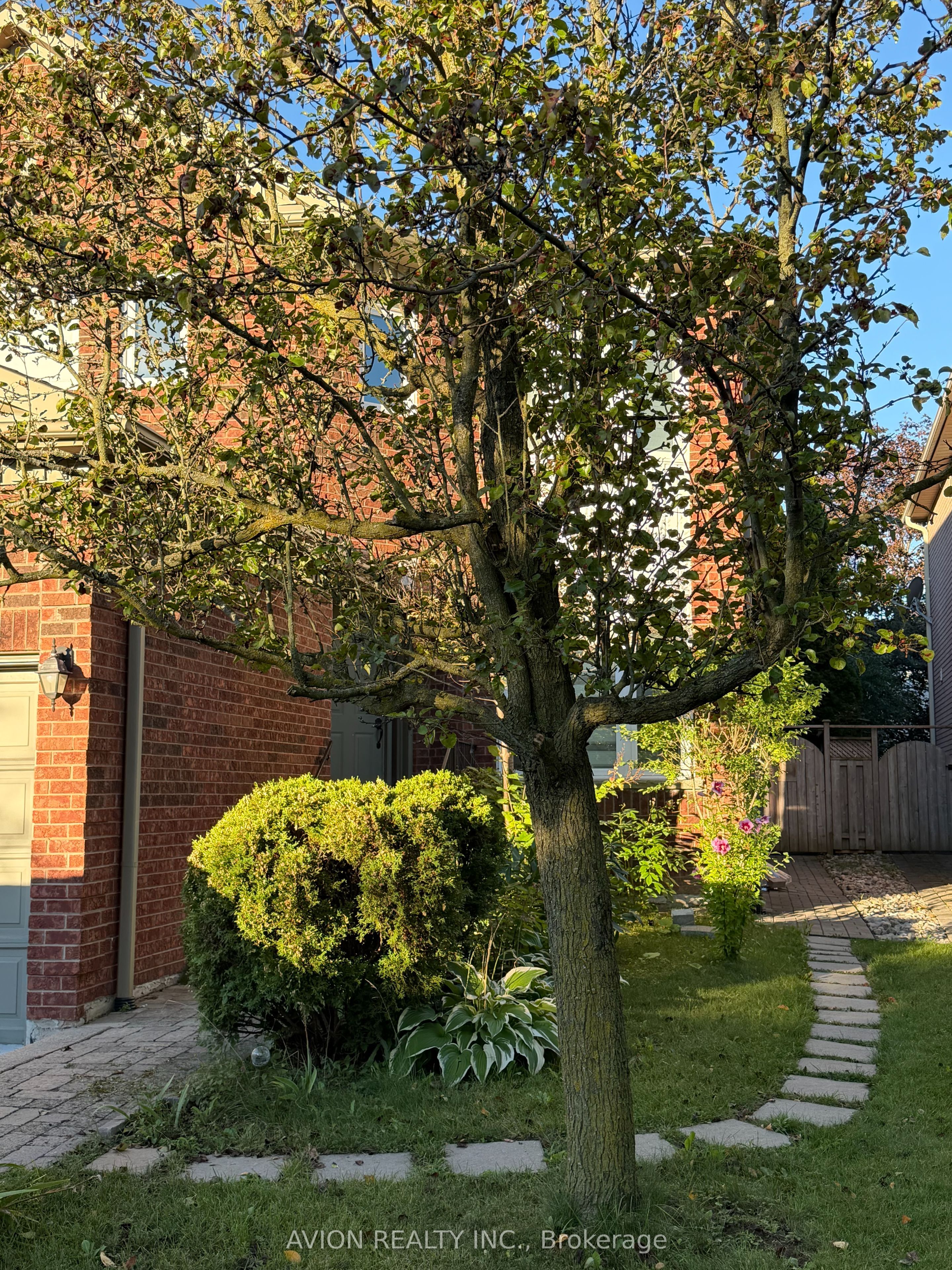 79 Sweet Water Crescent Basement, Richmond Hill, ON L4S 2B2 photo 2