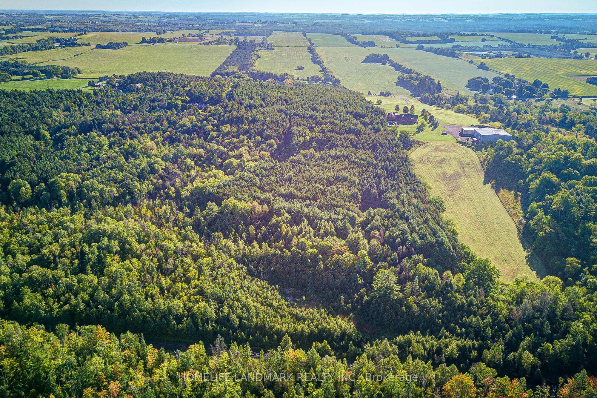 20094 Centre Street, East Gwillimbury, ON L0G 1M0 photo 5