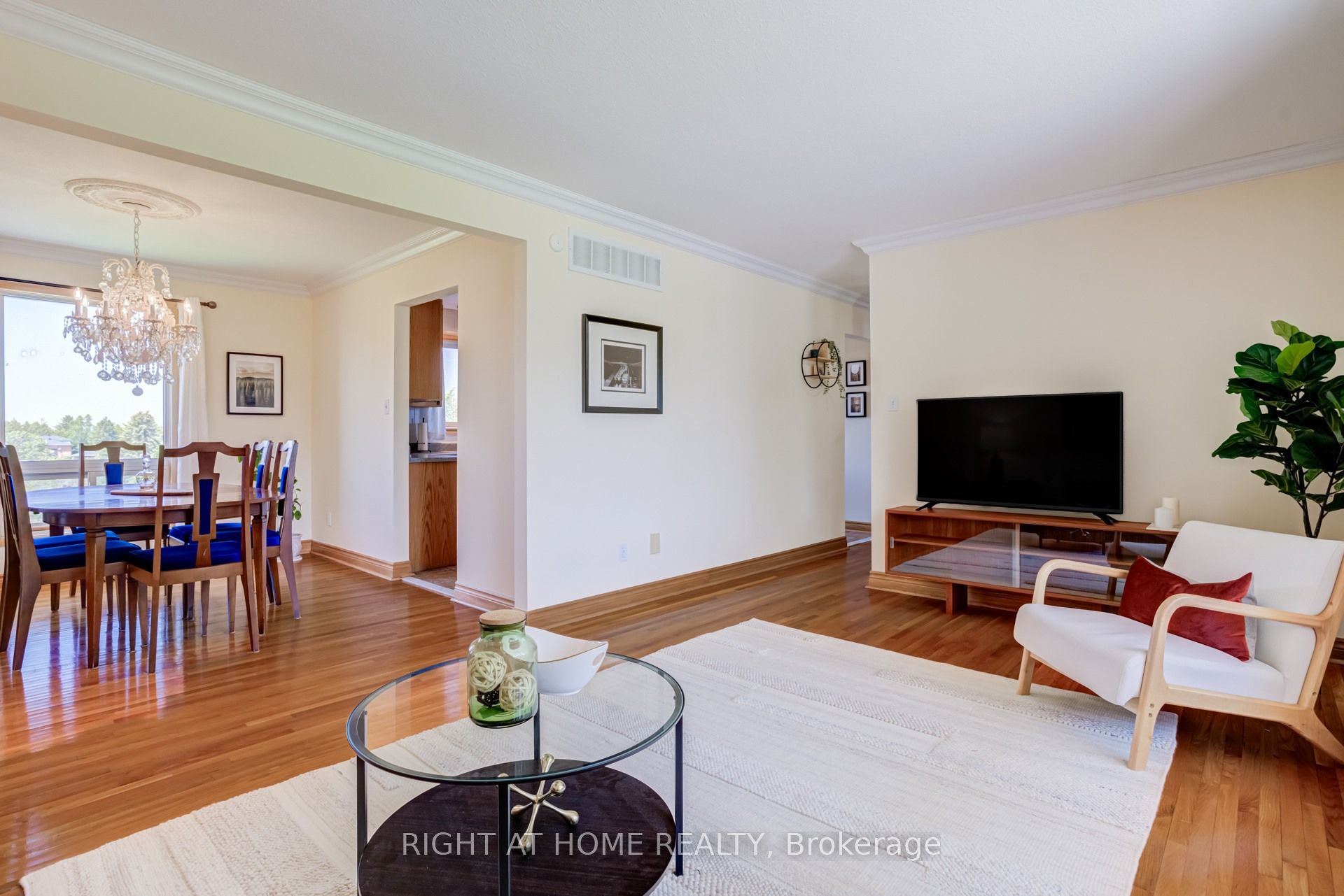 24 Joseph Street, Adjala-Tosorontio, ON L0G 1L0 photo 4