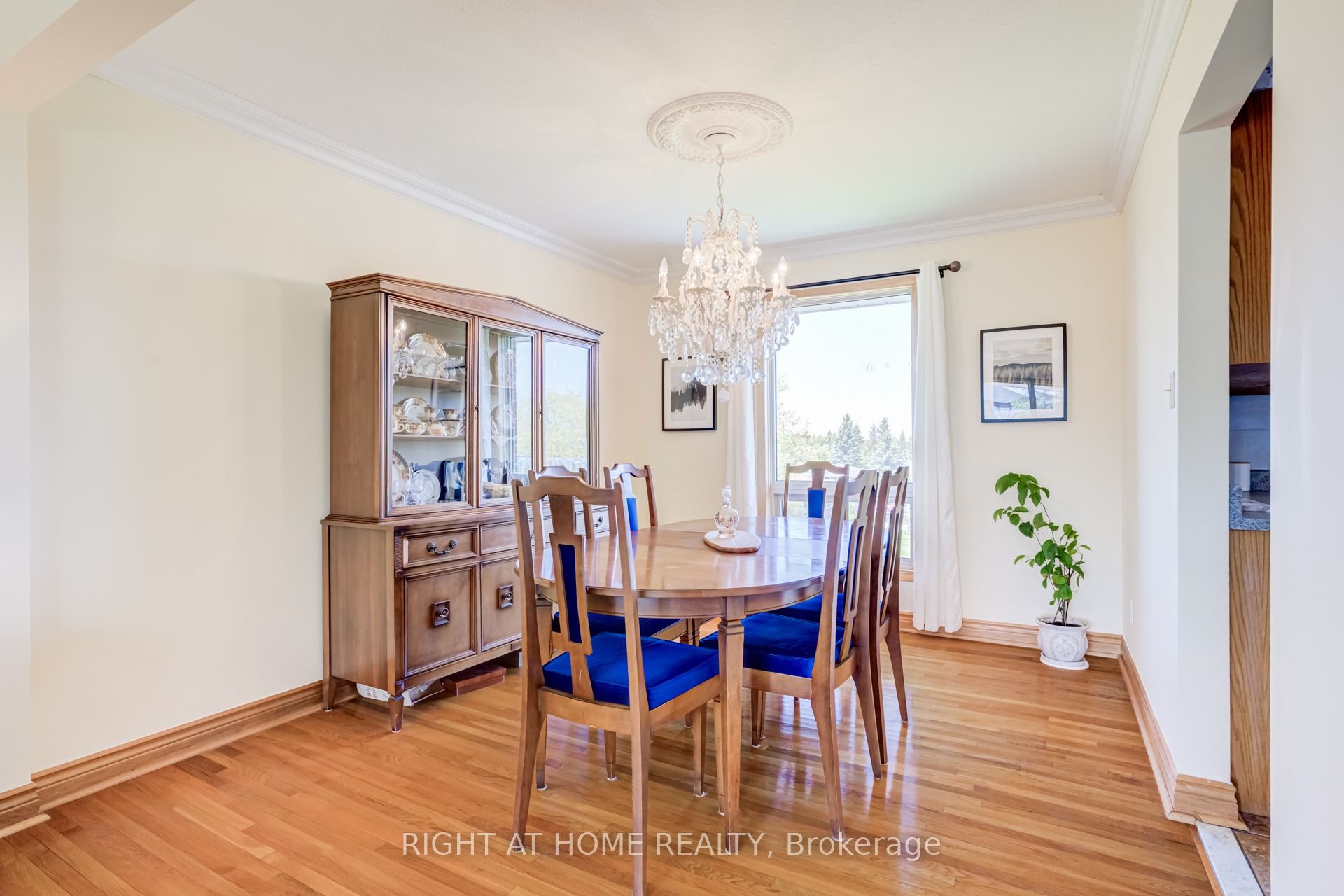 24 Joseph Street, Adjala-Tosorontio, ON L0G 1L0 photo 5
