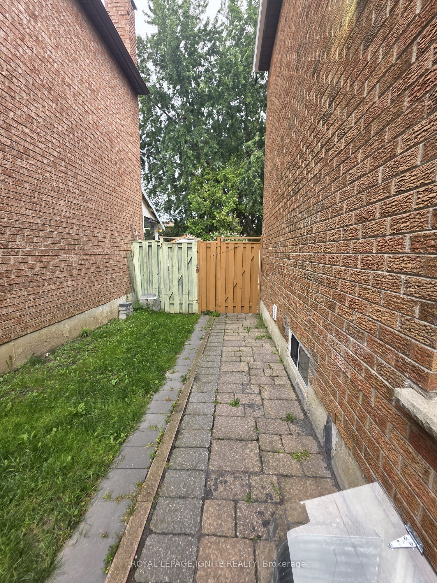 66 Ashmore Crescent Bsmt, Markham, ON L3R 6V3 photo 3