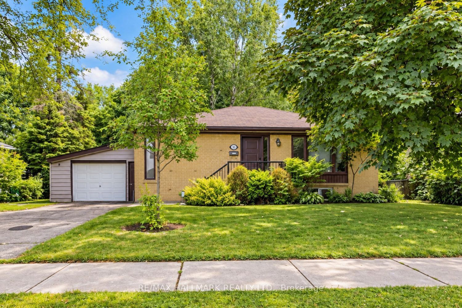 102 Murray Drive BSMT, Aurora, ON L4G 2C5