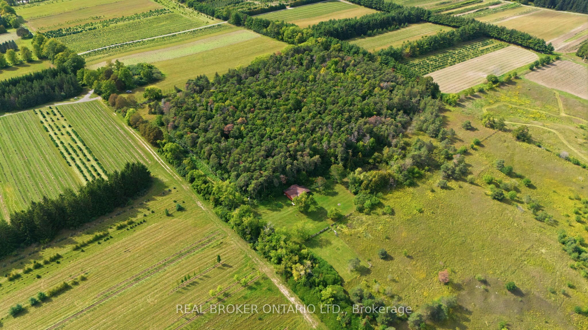 10329 Regional Rd No 1, Uxbridge, ON L9P 1R3 photo 4