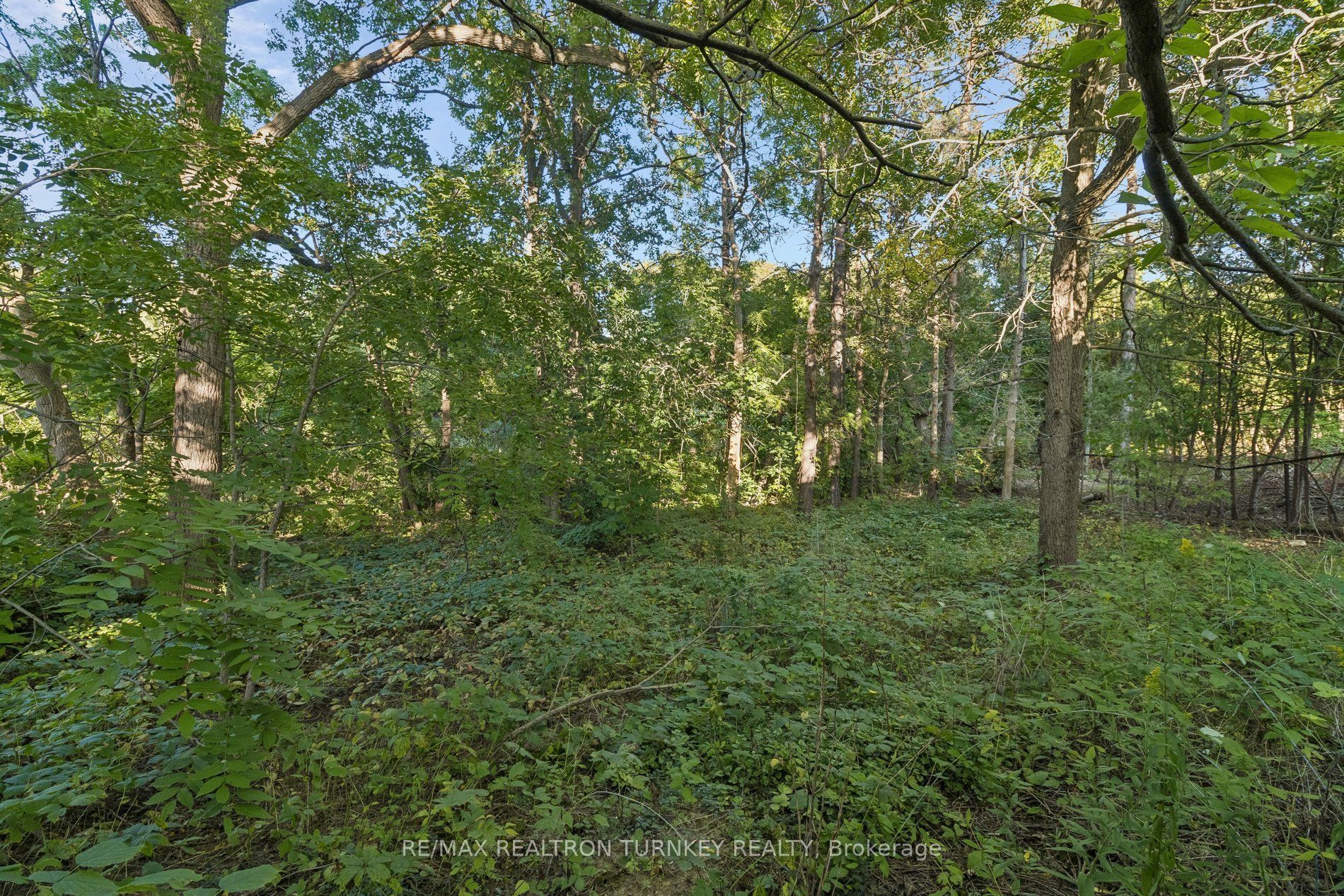 105 Bolton Avenue, Newmarket, ON L3Y 2X3 photo 5