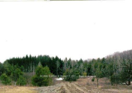 14600 jane Street, King, ON L7B 1A3 photo 5