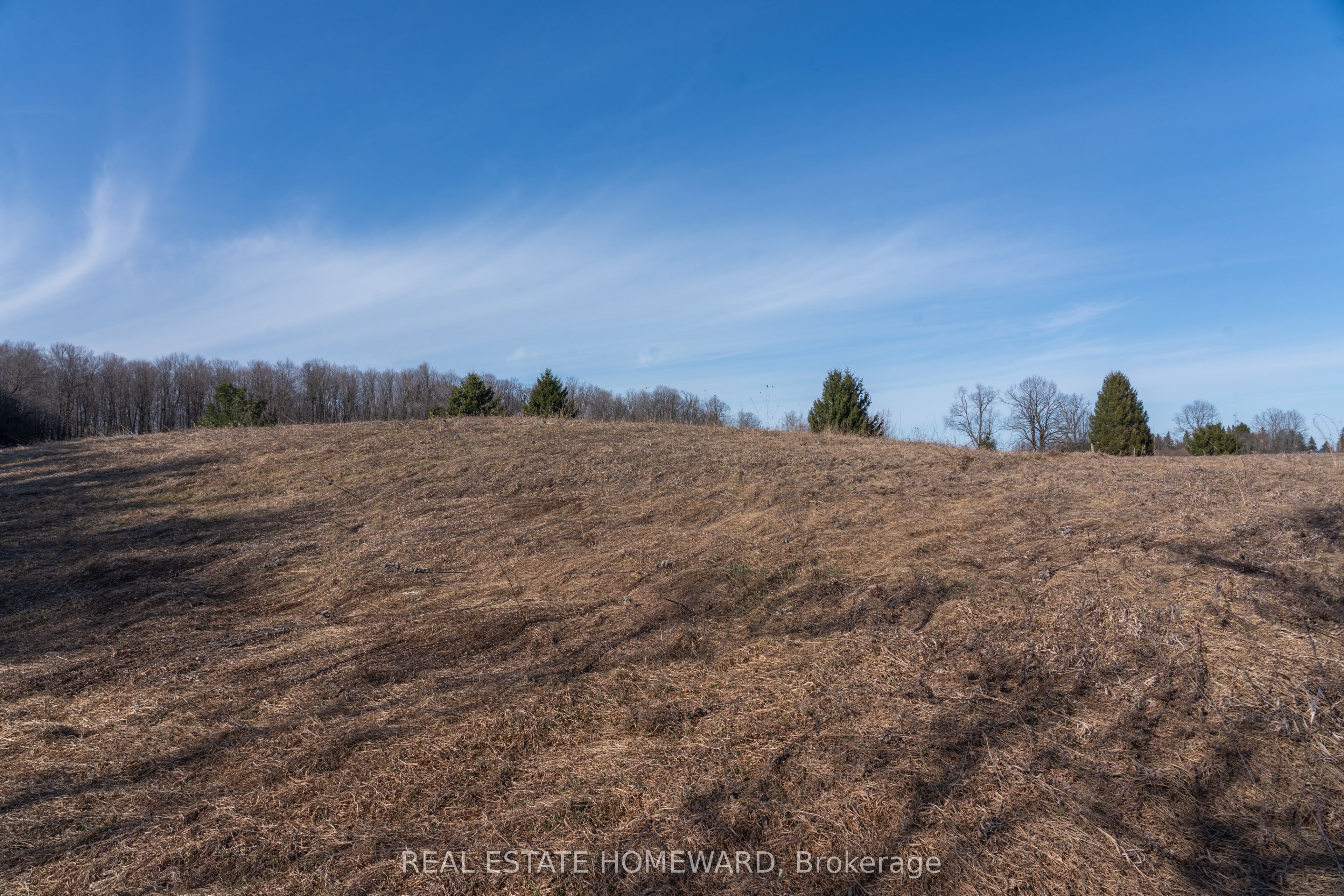 1430 COUNTY RD 50 S, Adjala-Tosorontio, ON L0N 1P0 photo 2