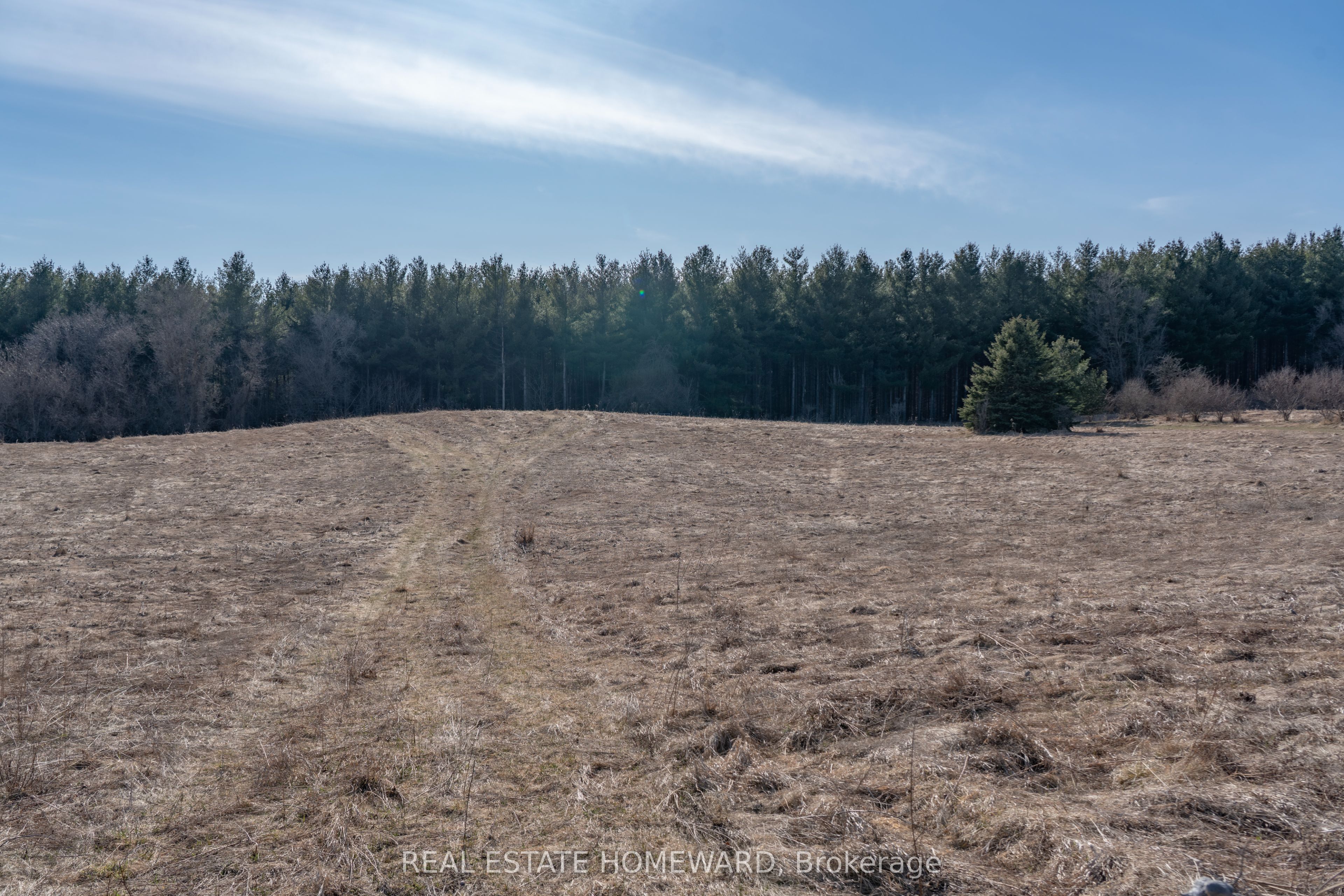 1430 COUNTY RD 50 S, Adjala-Tosorontio, ON L0N 1P0 photo 4