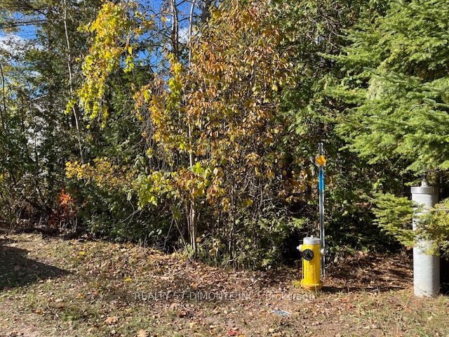 00000 River Road E, Wasaga Beach, ON L9Z 2P3 photo 2