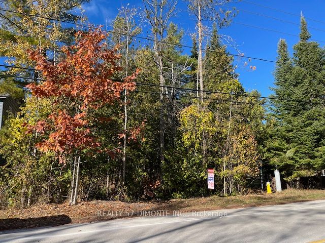 00000 River Road E, Wasaga Beach, ON L9Z 2P3 photo 3
