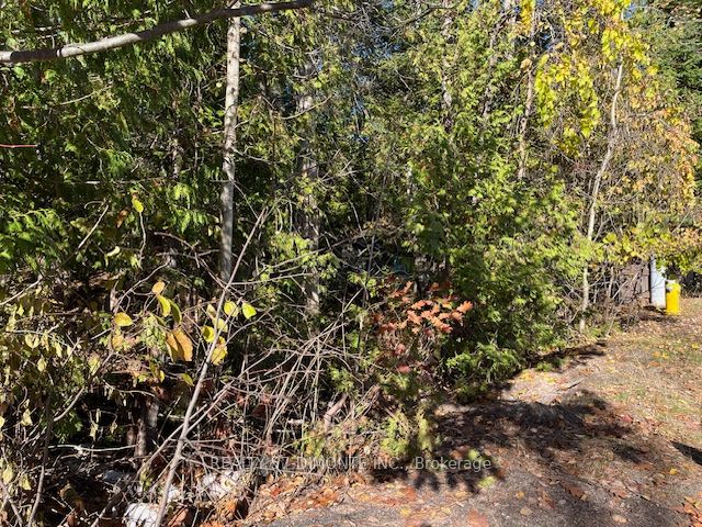 00000 River Road E, Wasaga Beach, ON L9Z 2P3 photo 4
