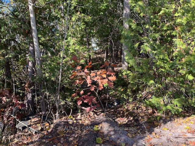 00000 River Road E, Wasaga Beach, ON L9Z 2P3 photo 5