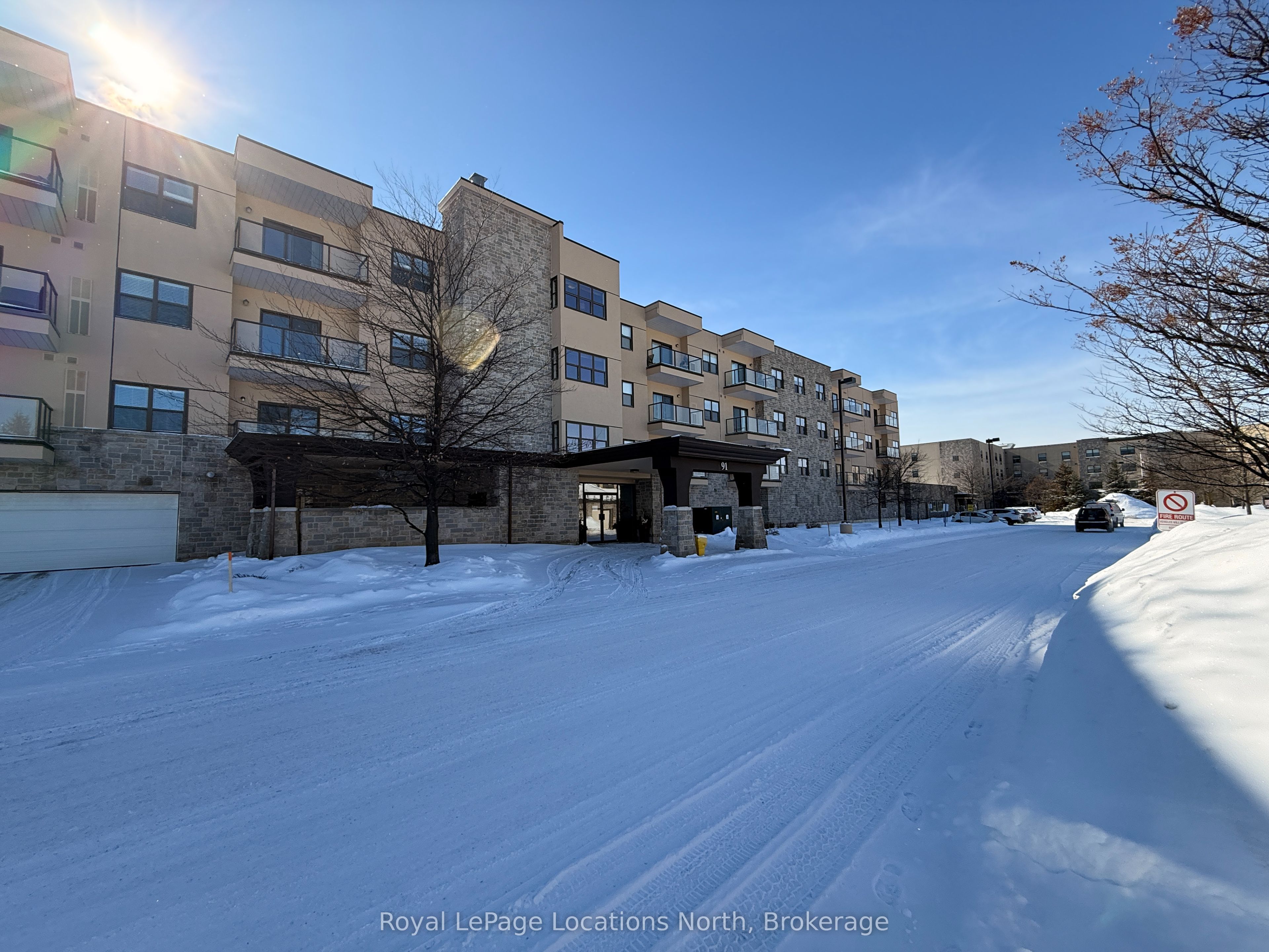 91 RAGLAN Street 303, Collingwood, ON L9Y 4V3 photo 2