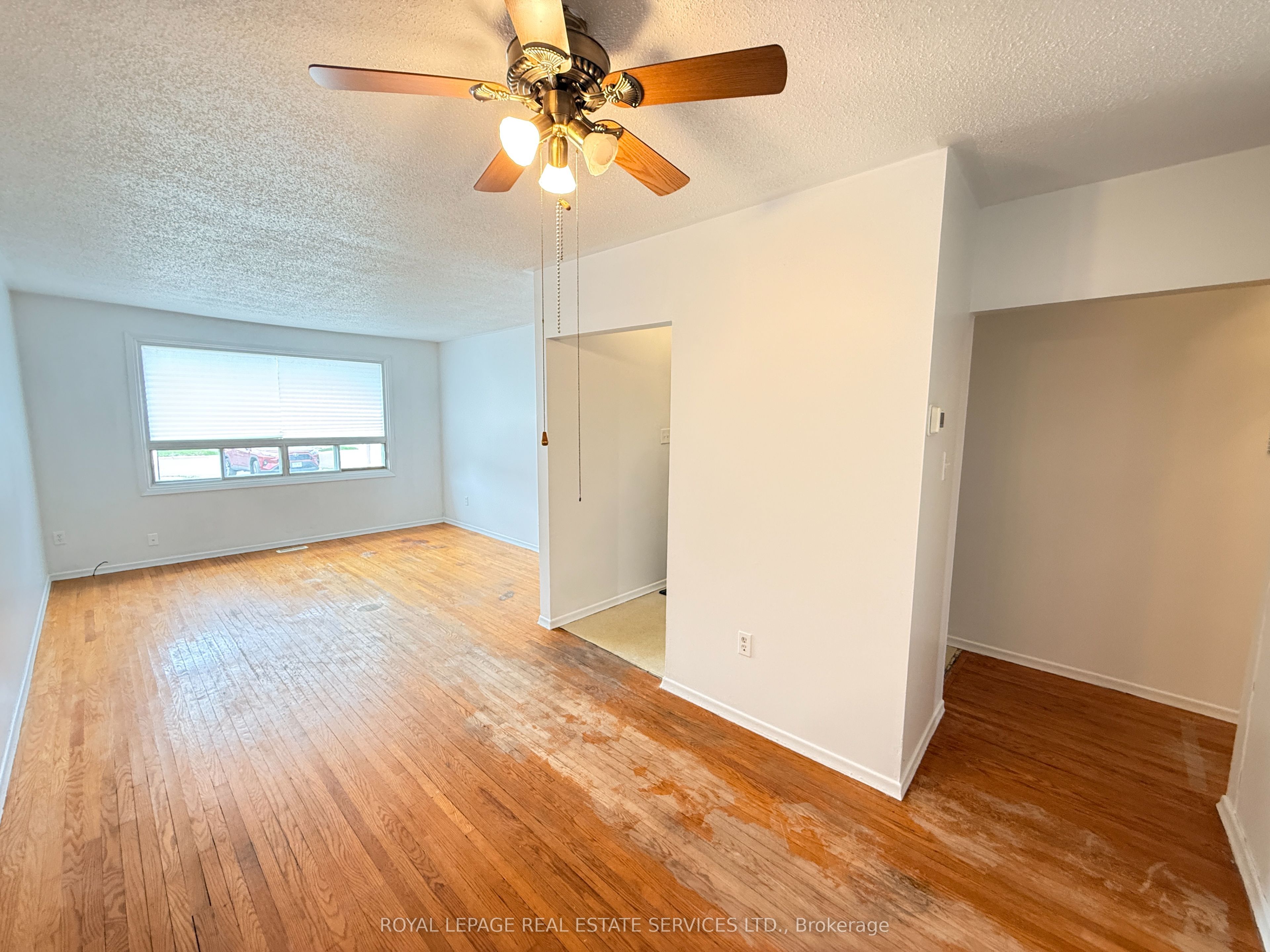 31 Daphne Crescent, Barrie, ON L4M 2Y7 photo 5
