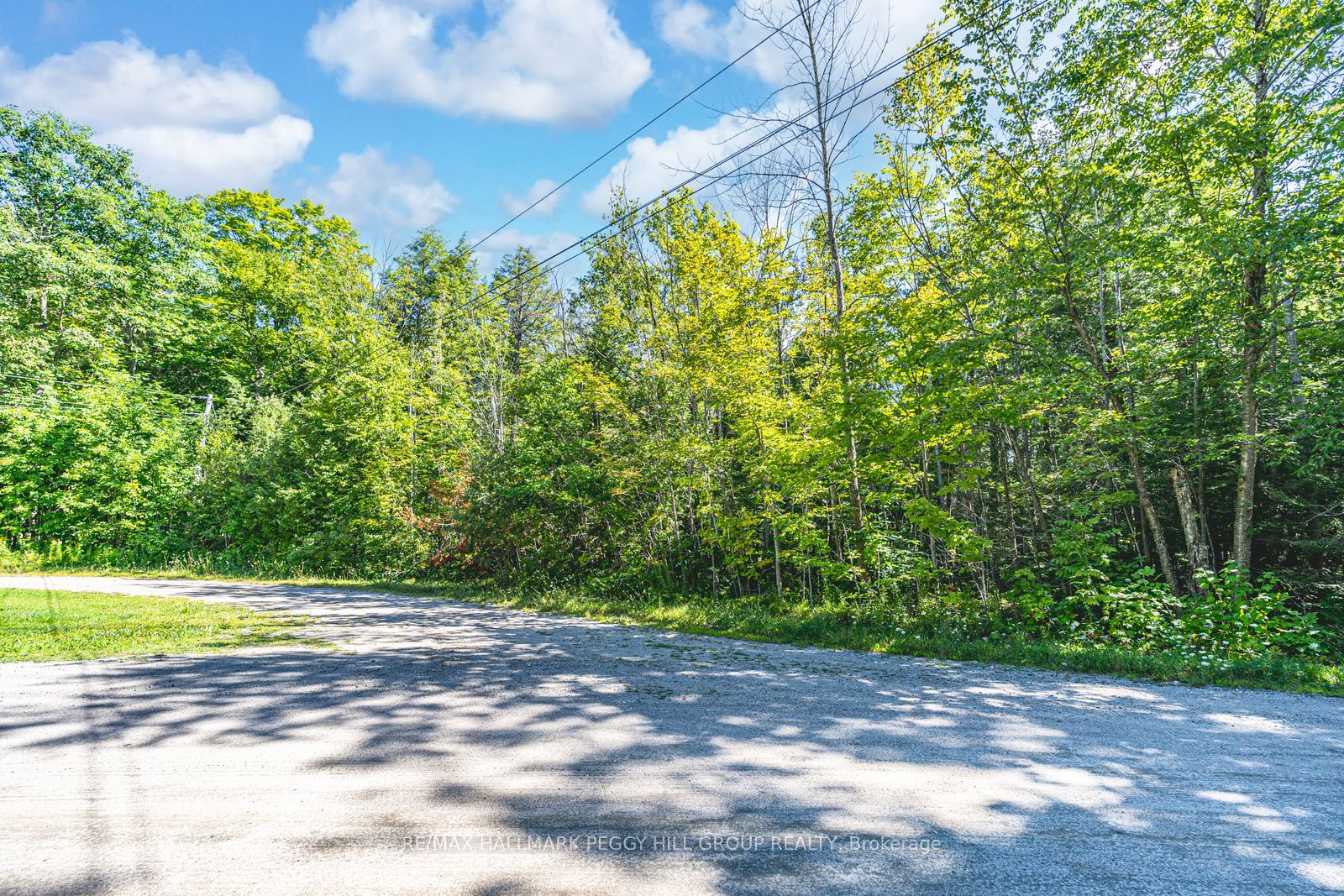 38 Lasalle Trail, Tiny, ON L9M 0G3 photo 4