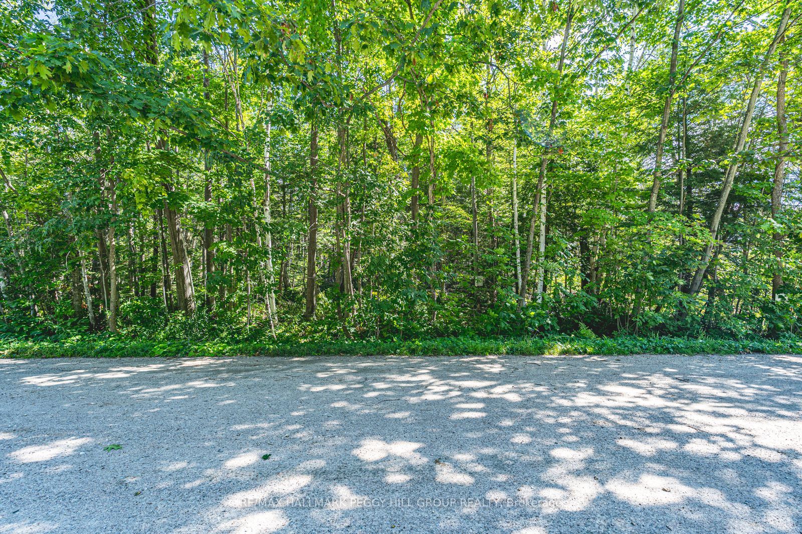 38 Lasalle Trail, Tiny, ON L9M 0G3 photo 5