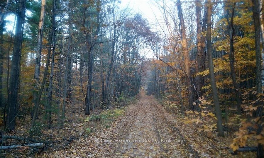 PL 20 Concession 18 W, Tiny, ON L9M 0K2 photo 3