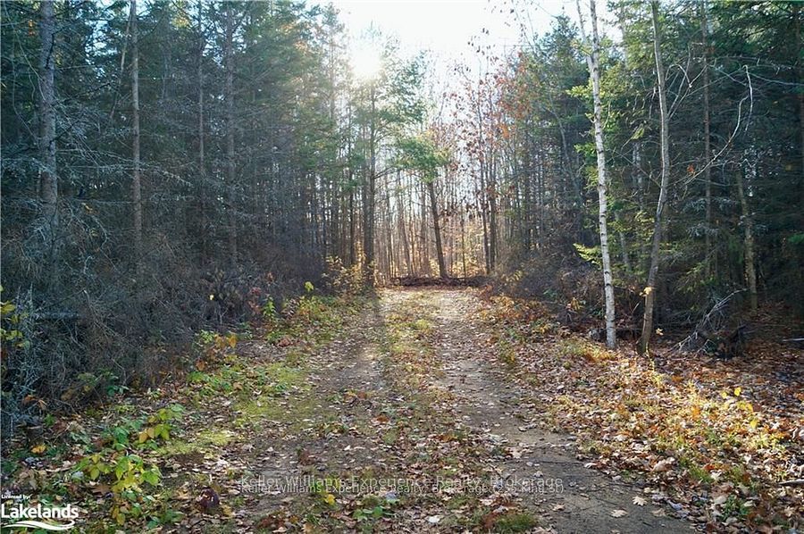 PL 20 Concession 18 W, Tiny, ON L9M 0K2 photo 4