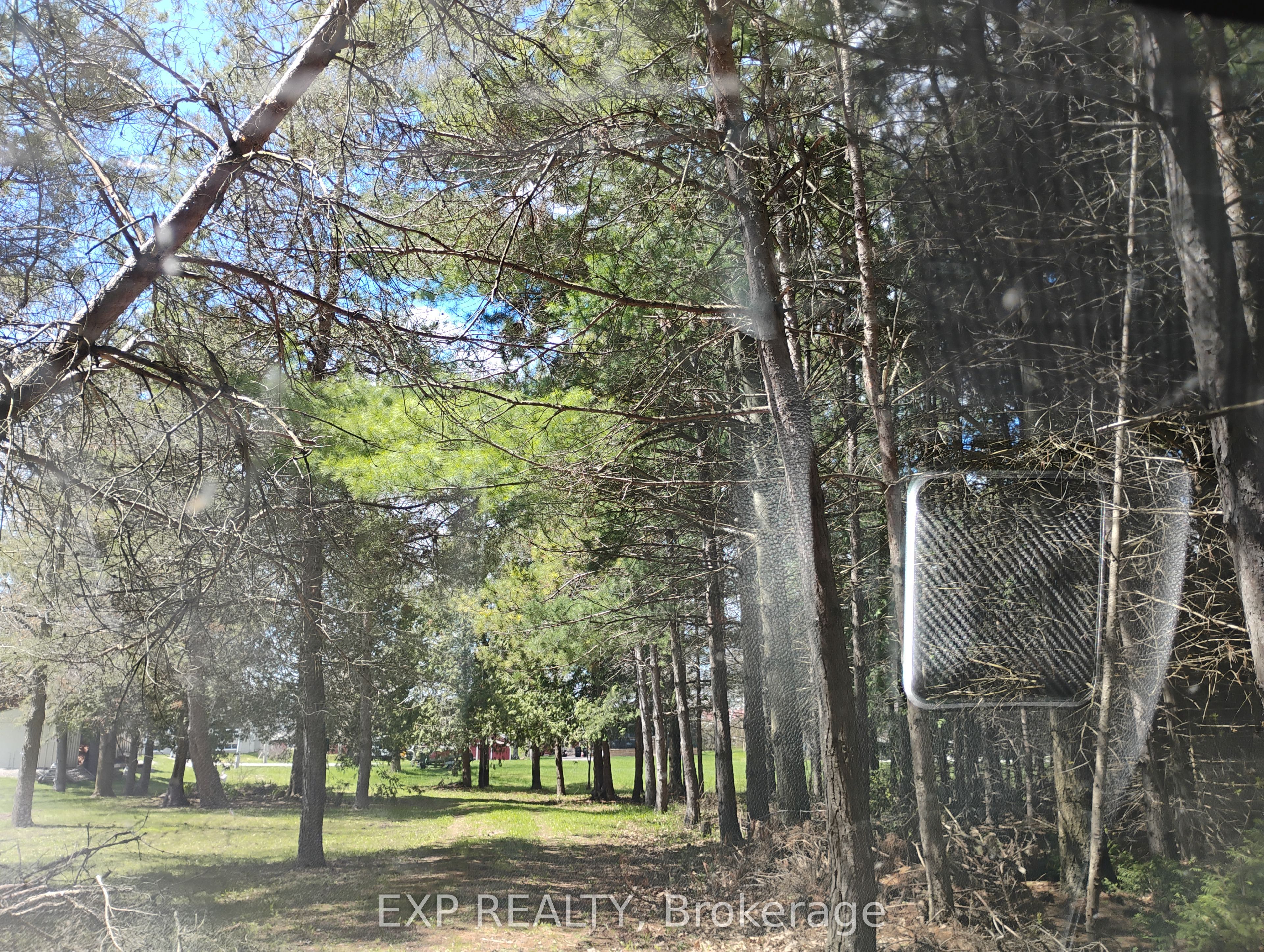 2825 Perry Avenue, Ramara, ON L0K 1B0 photo 4