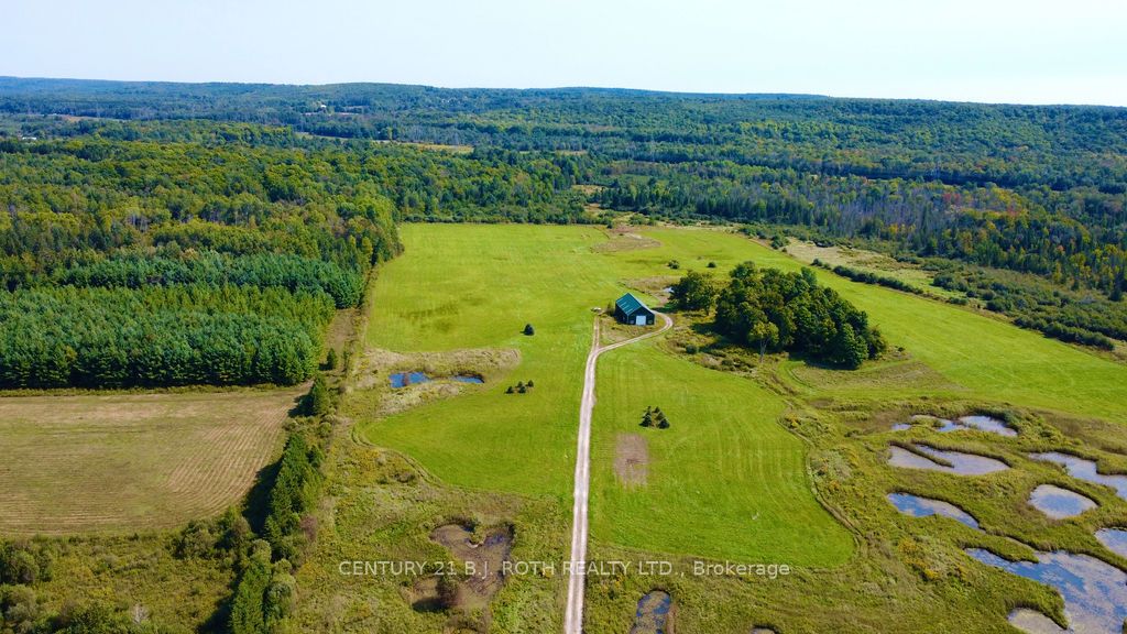 253 Craig Side Road, Oro-Medonte, ON L0L 1V0 photo 5