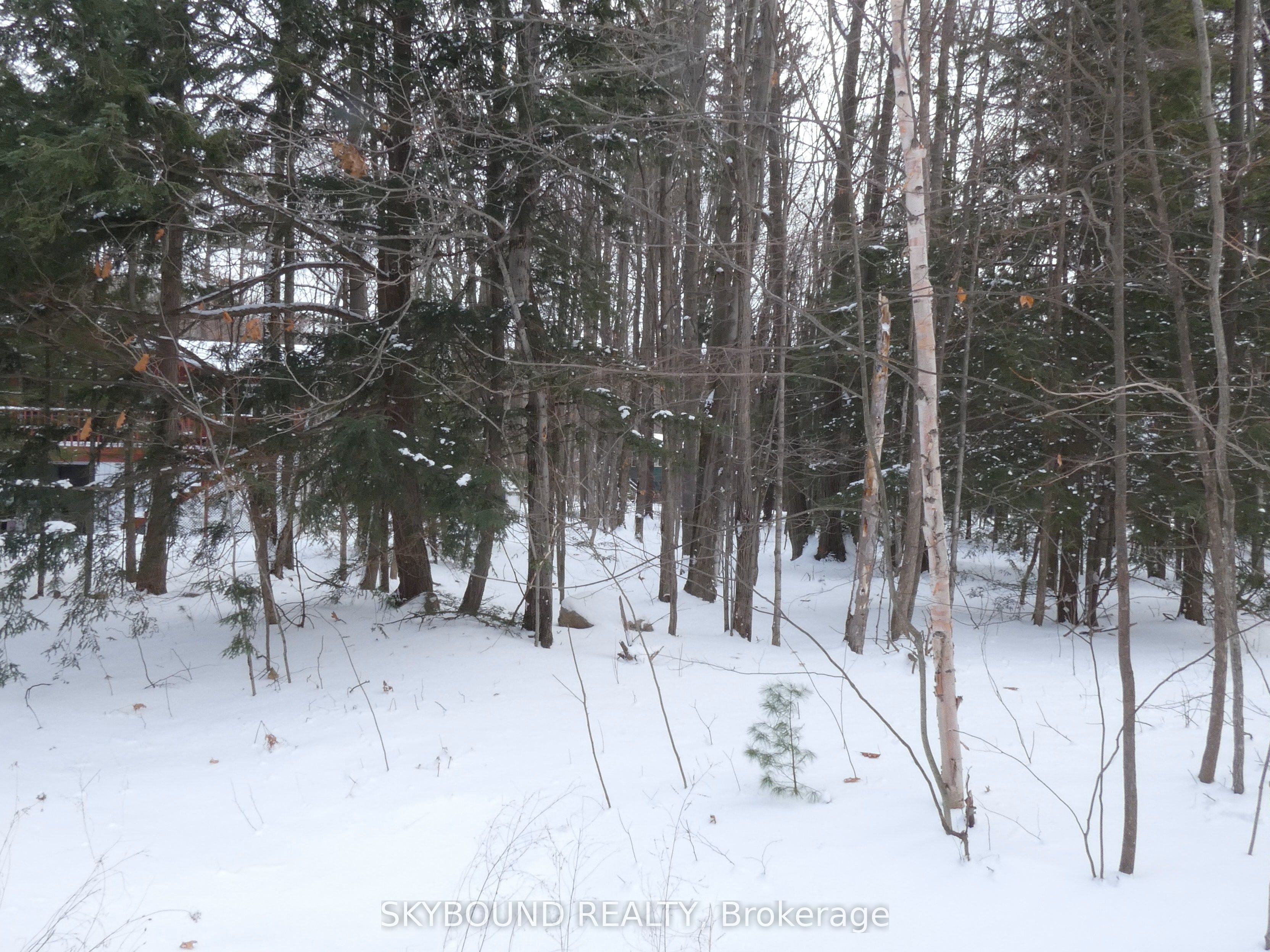 LOT 577 FOREST Circle, Tiny, ON L9M 1R3 photo 5
