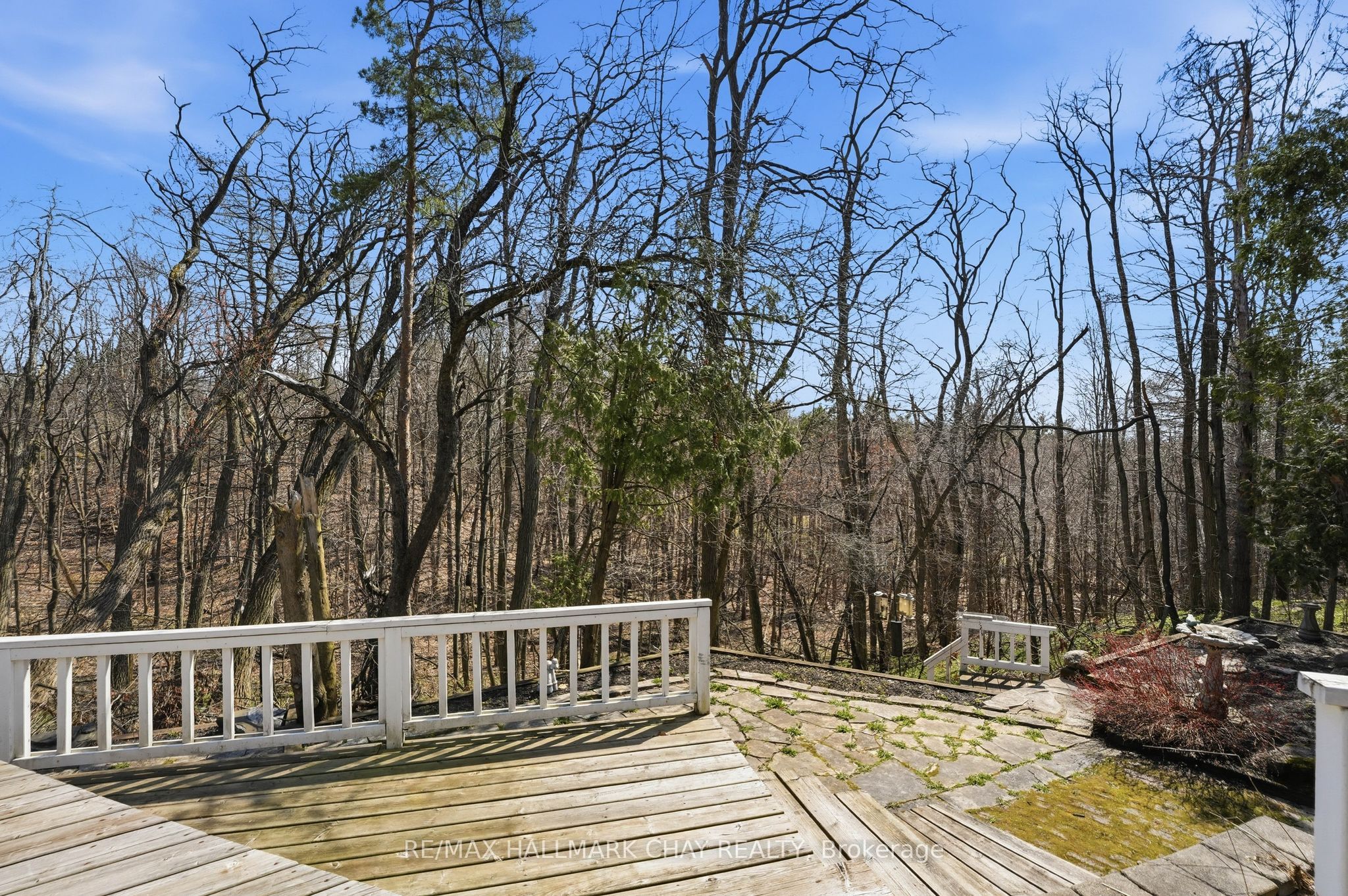 115 Doran Road, Springwater, ON L9X 1L5 photo 4