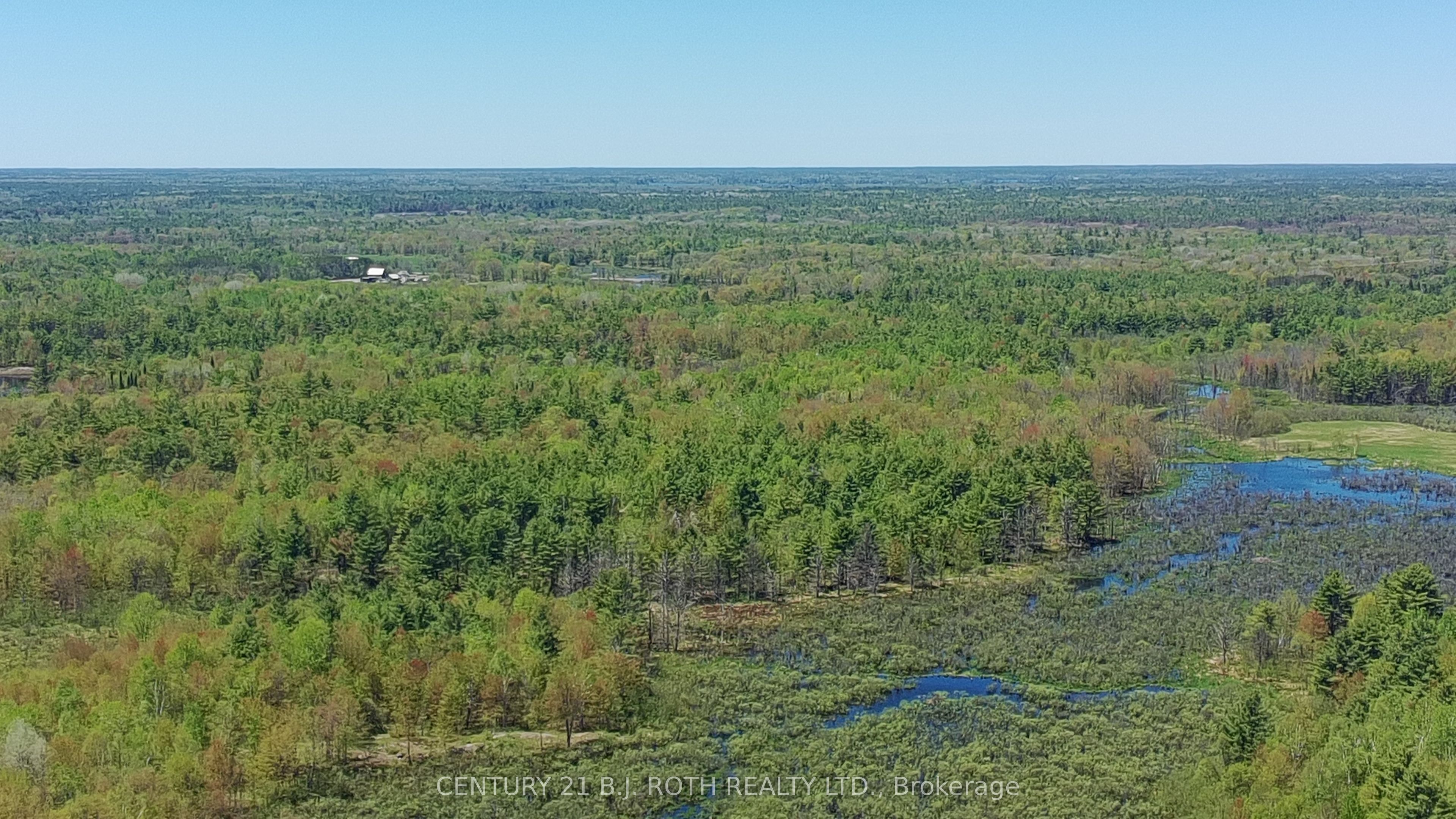 2444 FAIRGROUNDS Road, Ramara, ON L0K 2B0 photo 3
