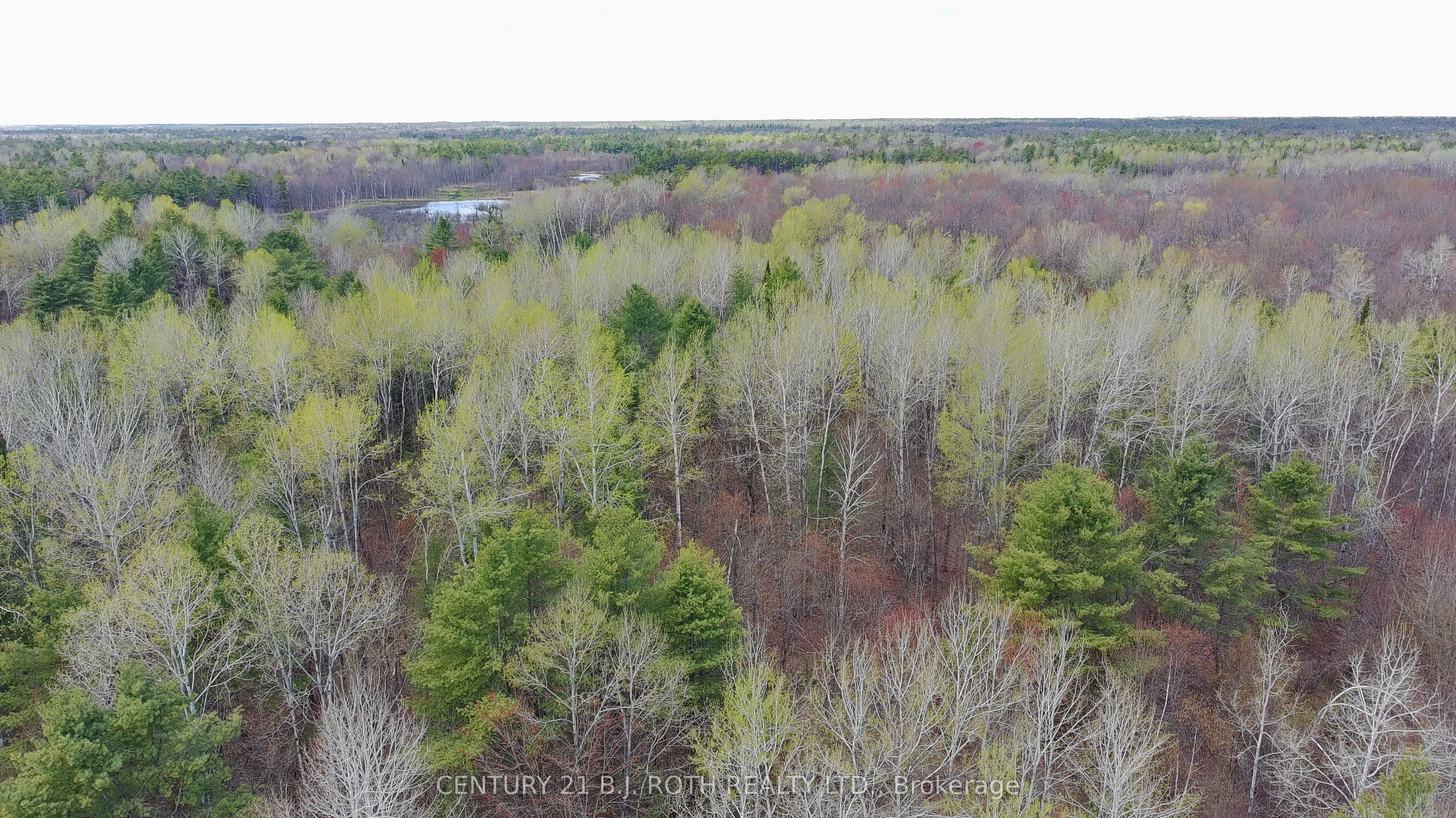2444 FAIRGROUNDS Road, Ramara, ON L0K 2B0 photo 4