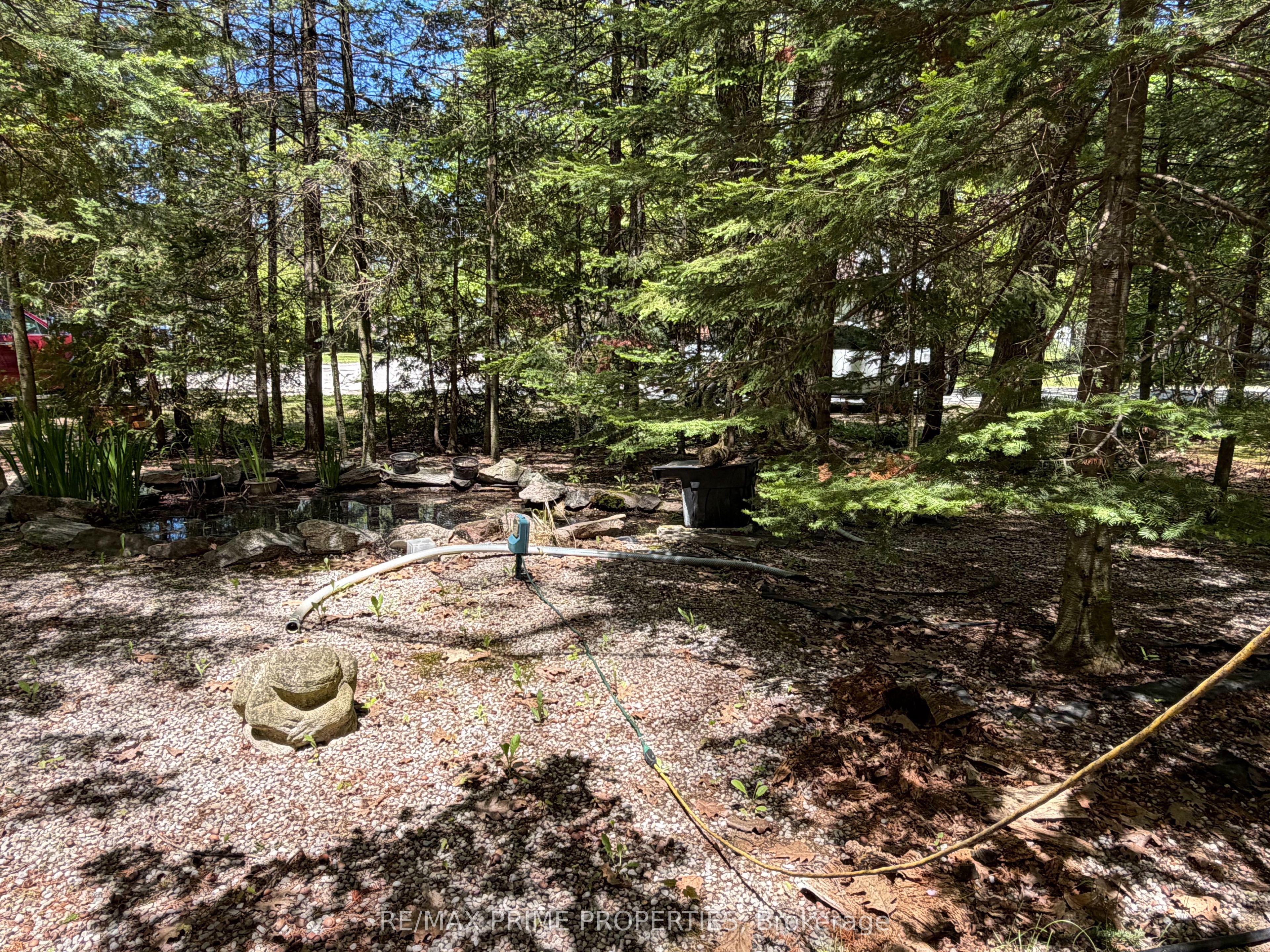 187 Frederick Drive, Wasaga Beach, ON L9Z 1P1 photo 5