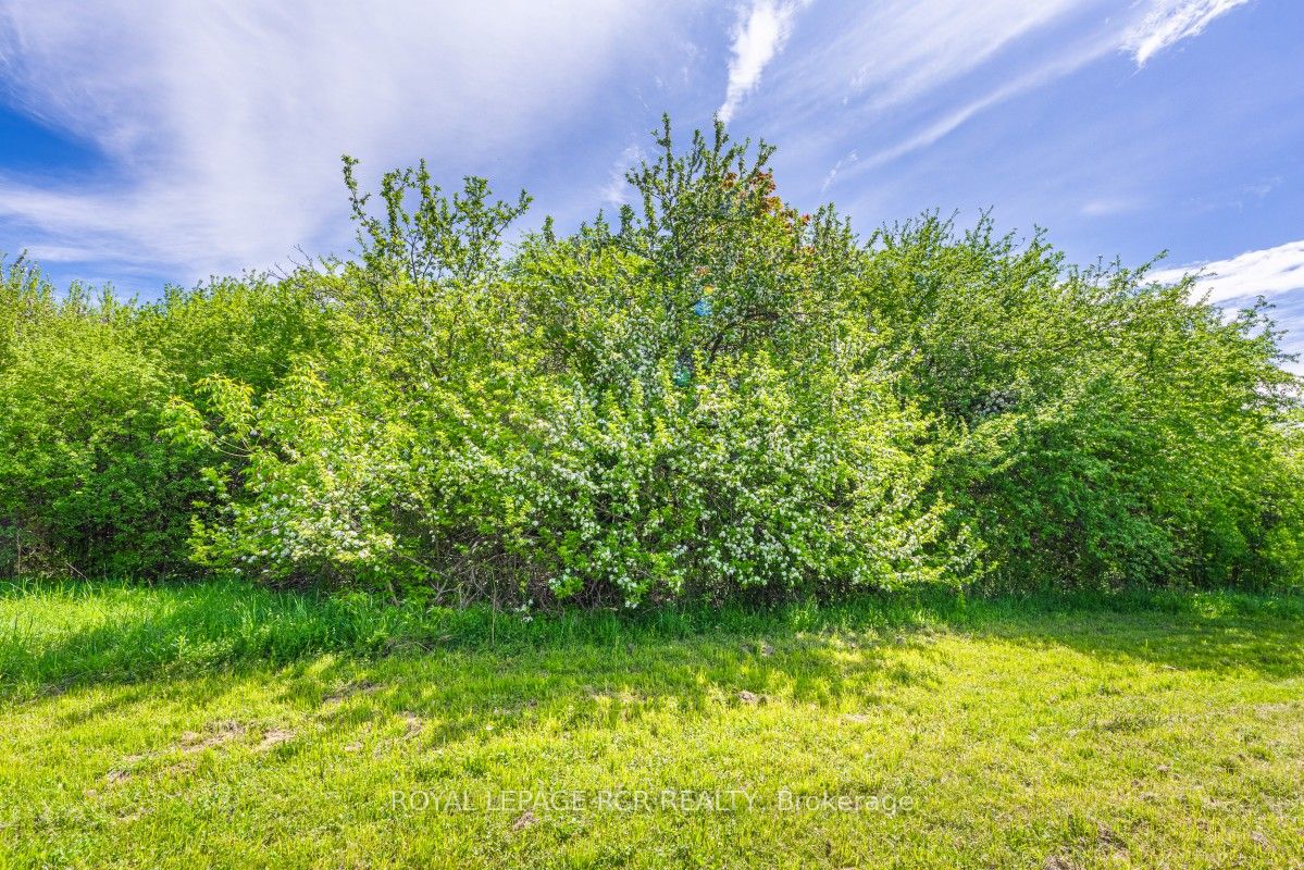 2872 Sunset Drive, Ramara, ON L0K 1B0 photo 5