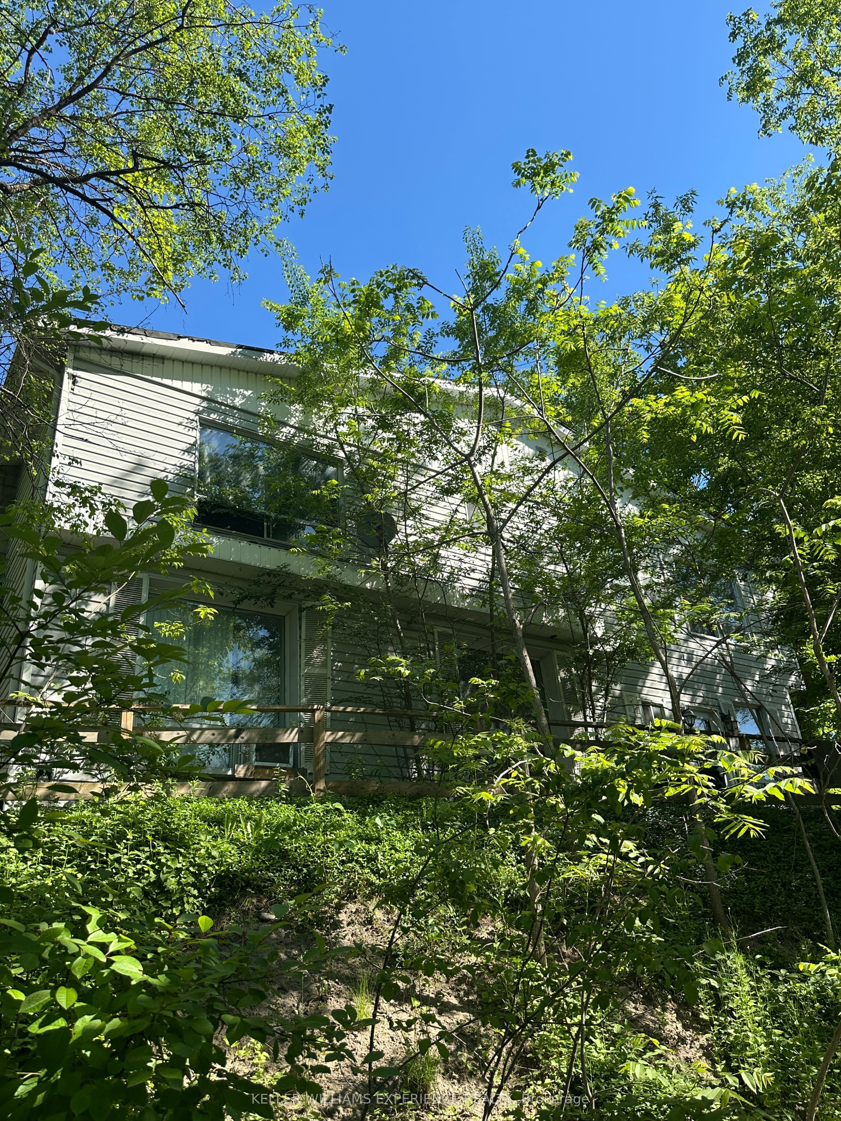 116 Maple Avenue, Barrie, ON L4N 1S4 photo 4