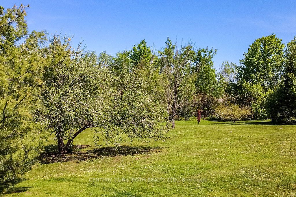 22 Boyd Crescent, Oro-Medonte, ON L0K 1N0 photo 4