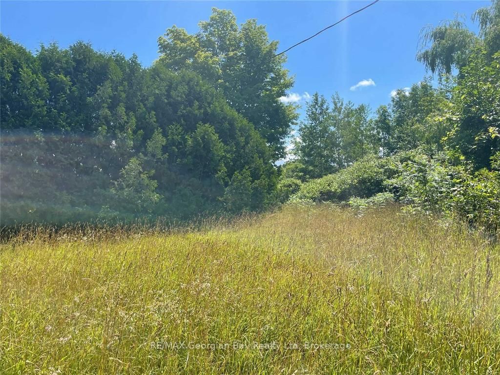 6950 County Rd 93 Road, Tiny, ON L0K 2E1 photo 3