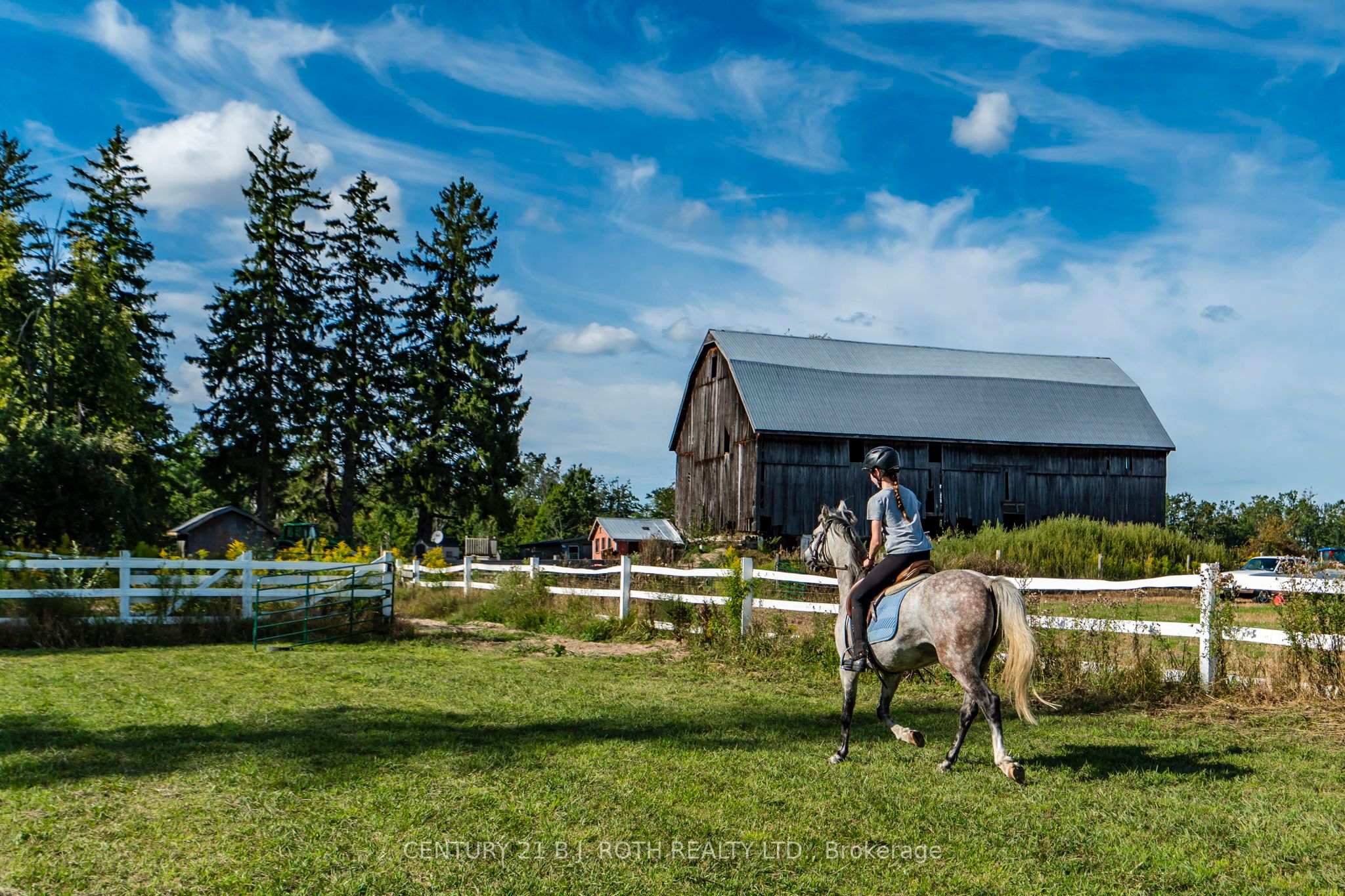 363 12 Line N, Oro-Medonte, ON L0L 1T0 photo 4