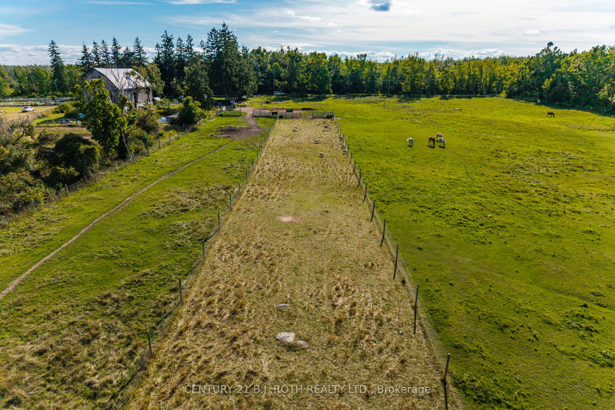 363 12 Line N, Oro-Medonte, ON L0L 1T0 photo 5