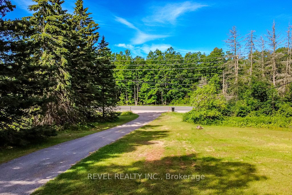 11553 COUNTY ROAD 27 Road, Springwater, ON L0L 1X1 photo 3