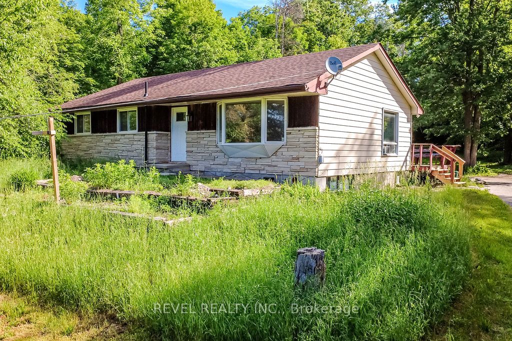 11553 COUNTY ROAD 27 Road, Springwater, ON L0L 1X1 photo 5