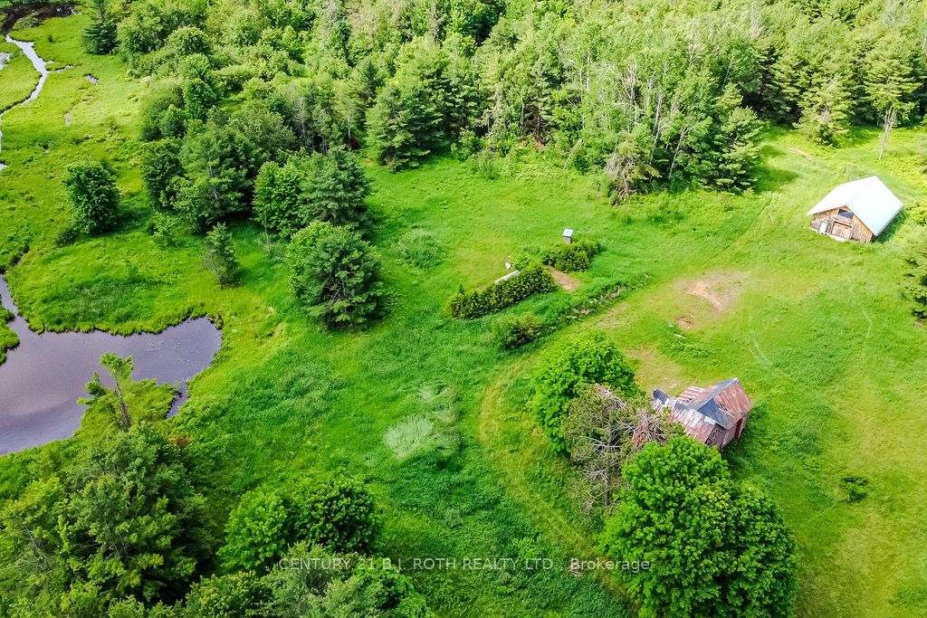 1205 Fair Grounds Road, Ramara, ON L0K 1B0 photo 5