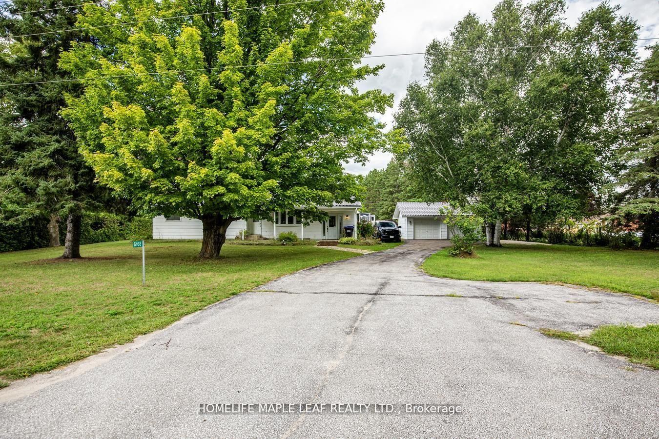 6168 County Road 9, Clearview, ON L0M 1N0 photo 3