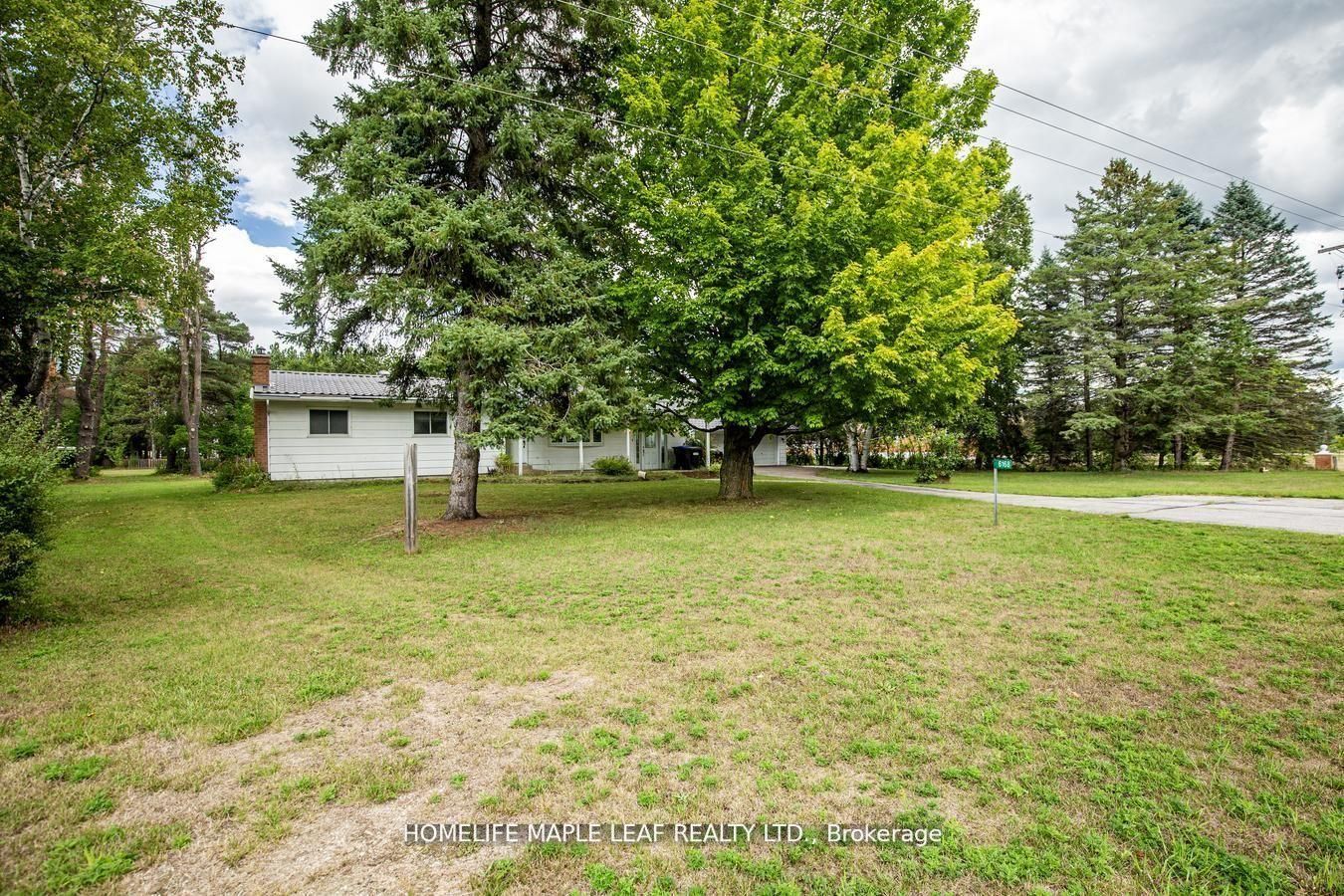 6168 County Road 9, Clearview, ON L0M 1N0 photo 5