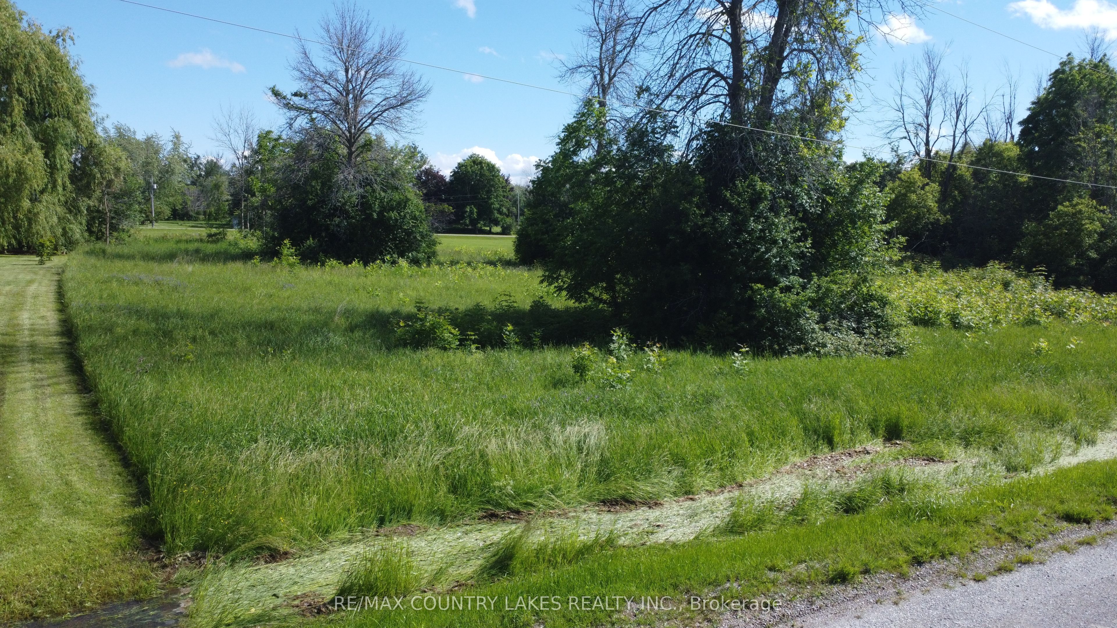 2889 Sunset Drive, Ramara, ON L0K 1B0 photo 3