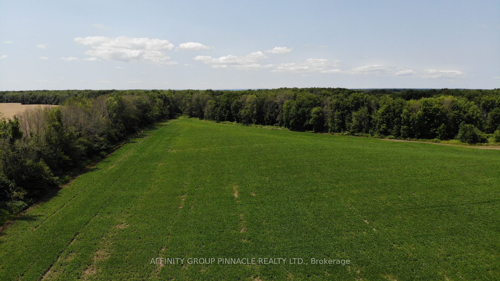 4026 Highway 12, Ramara, ON L0K 1B0 photo 2