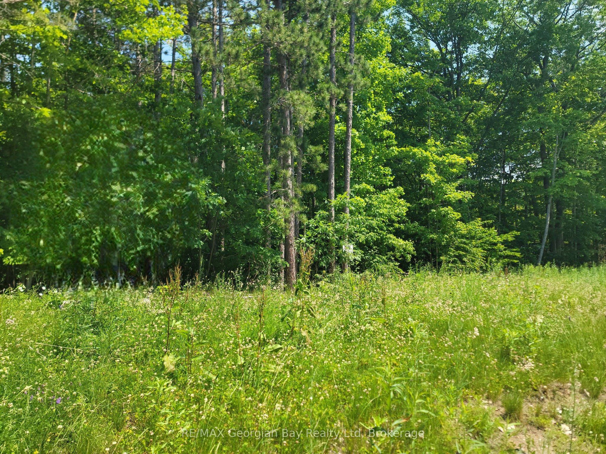 Lot 71 Whispering Pine Circle, Tiny, ON L9M 0C2 photo 4