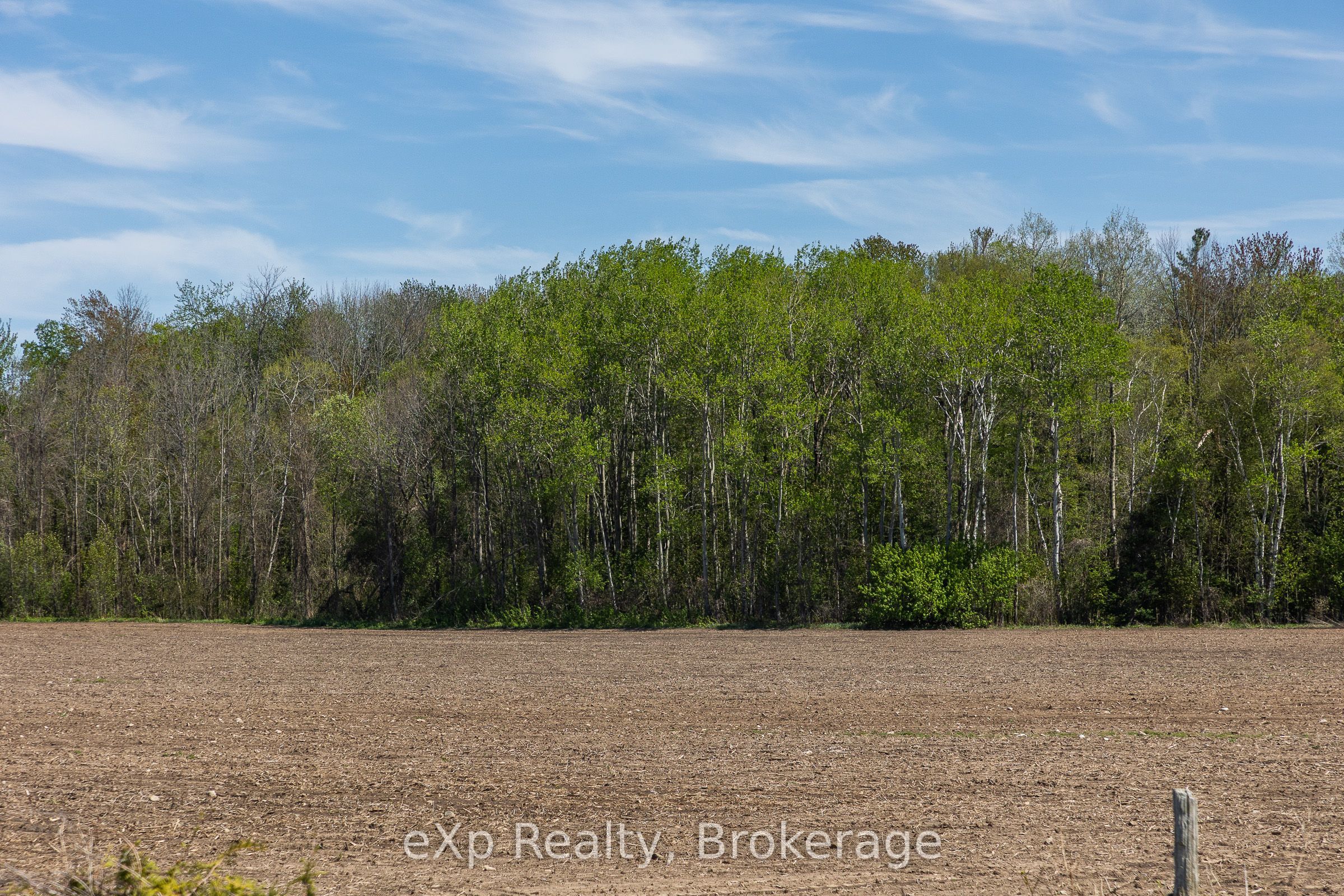 5716 County Road 9, Clearview, ON L0M 1N0 photo 5