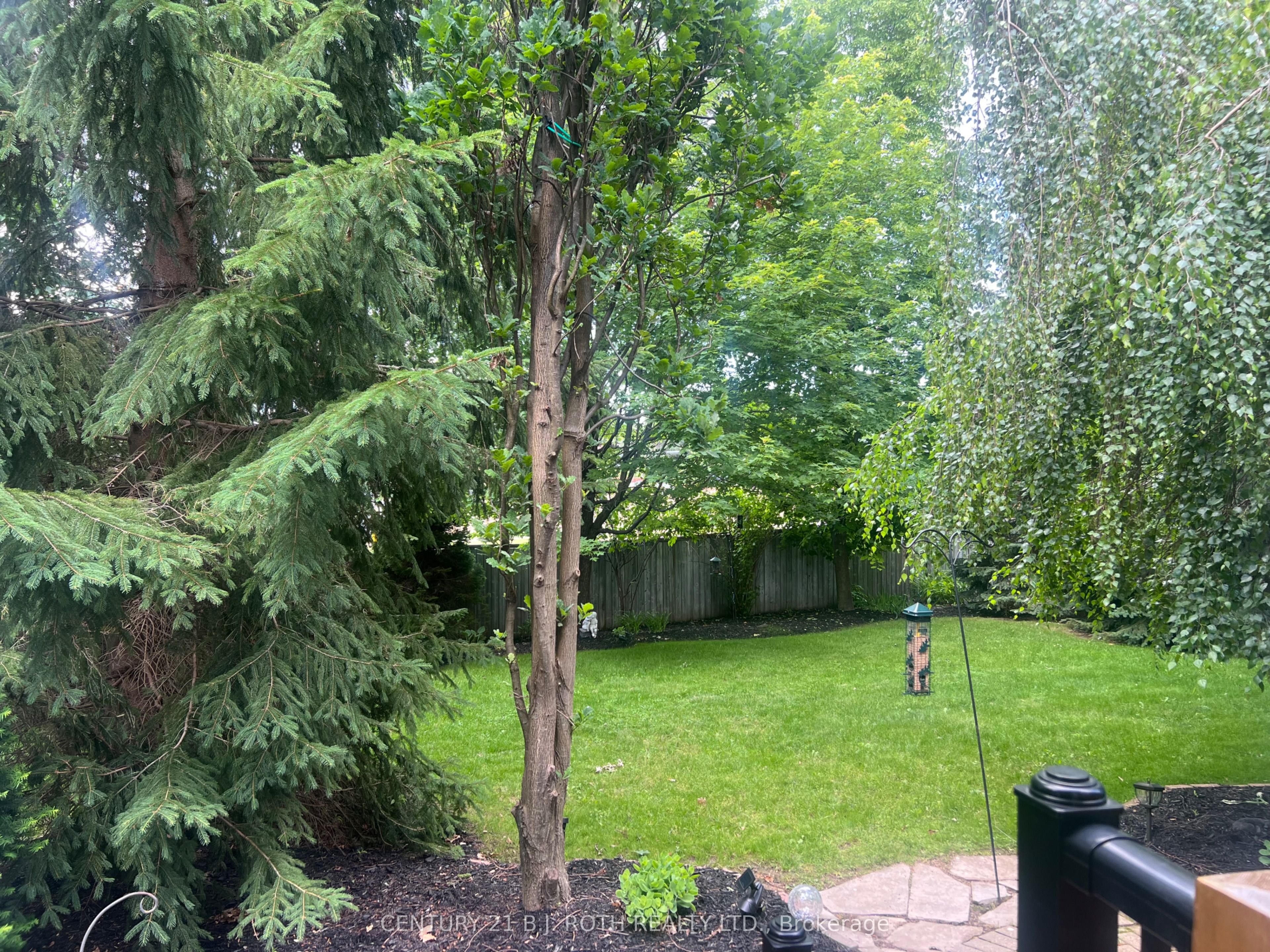 47 Looker Drive, Barrie, ON L4N 7V3 photo 3