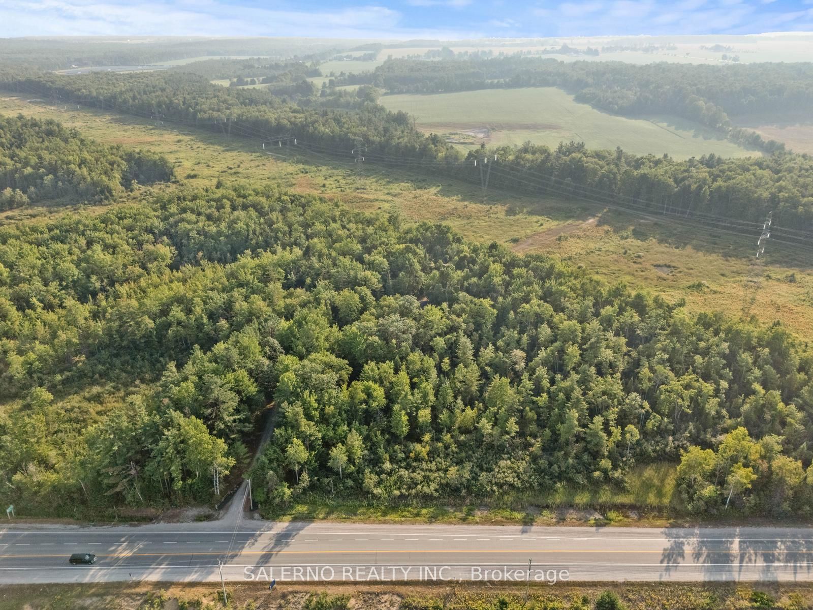 3992 Penetanguishene Road, Springwater, ON L0L 1V0 photo 2