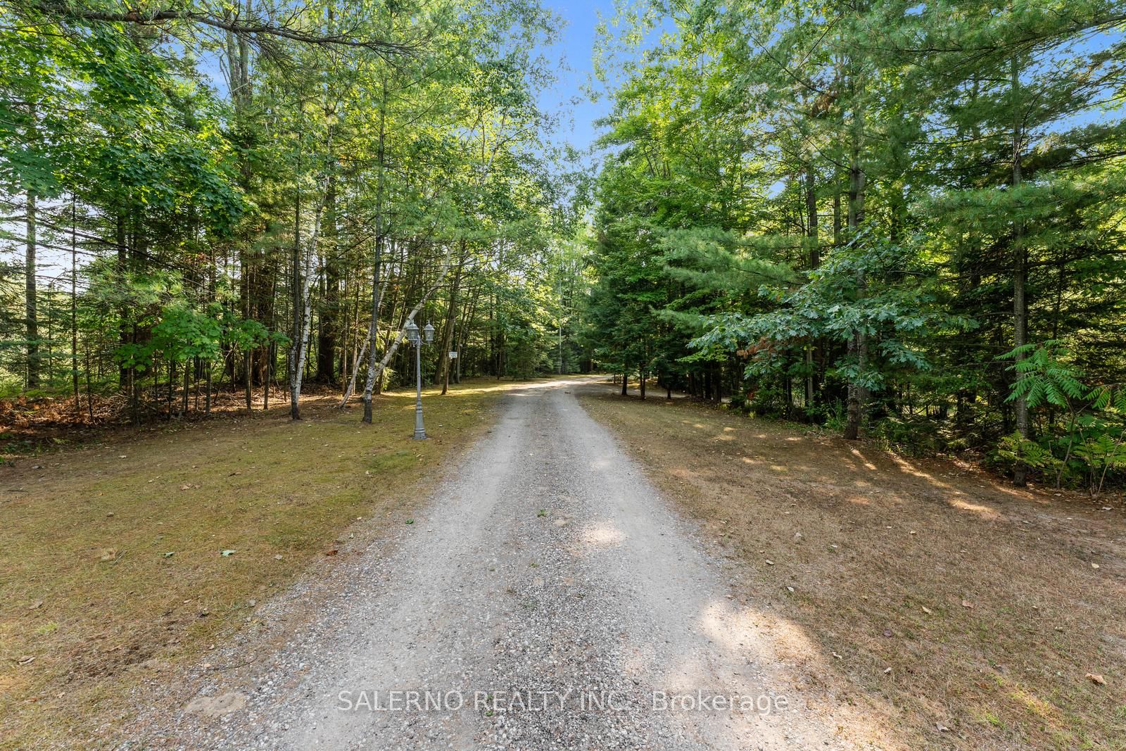3992 Penetanguishene Road, Springwater, ON L0L 1V0 photo 3