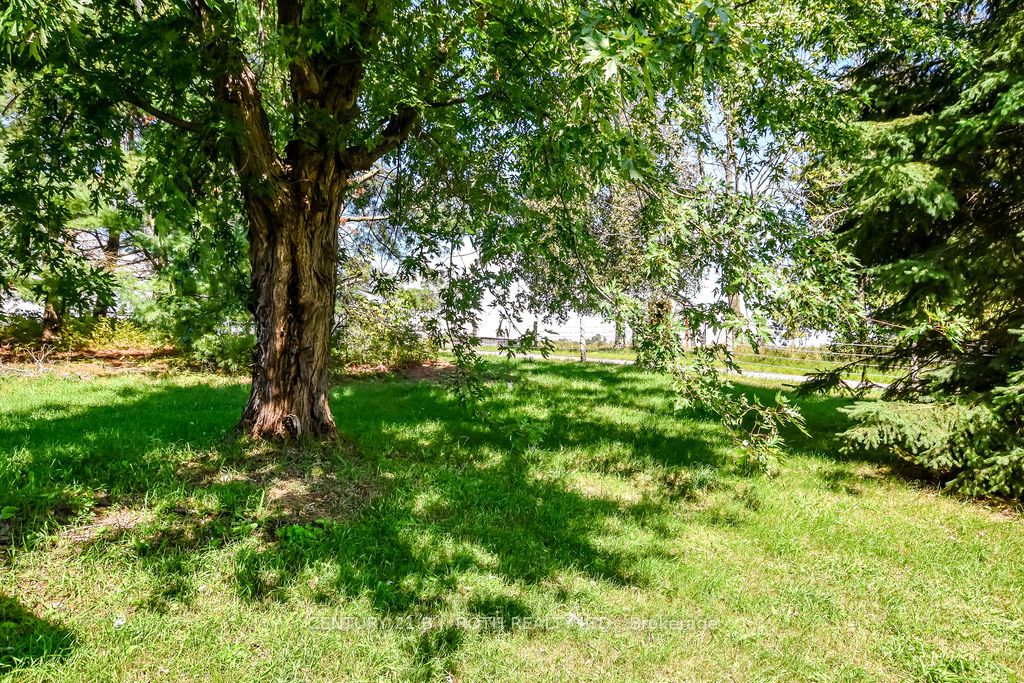 1998 Old Barrie Road E, Oro-Medonte, ON L0L 1T0 photo 4