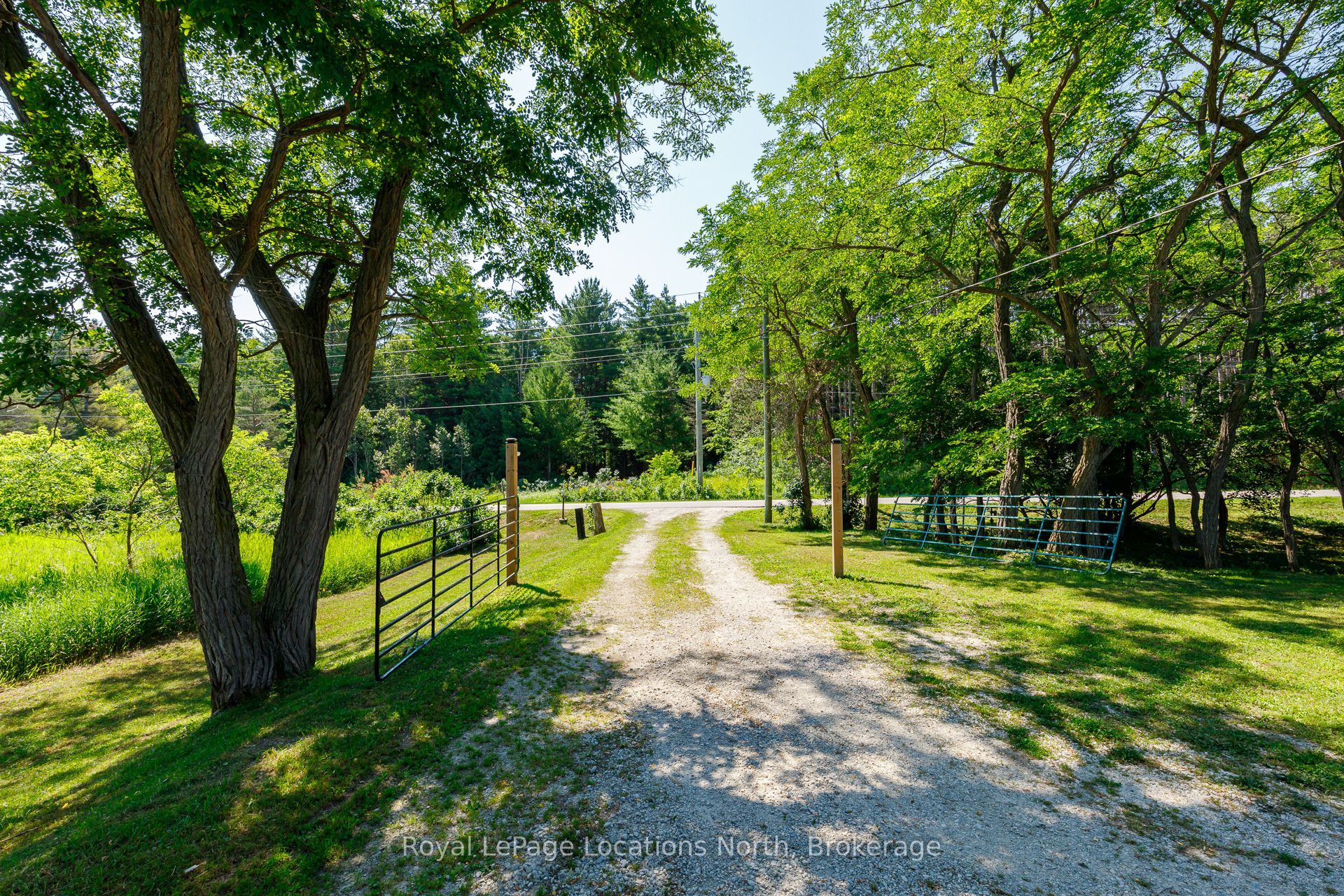 4080 12 Concession, Clearview, ON L0M 1S0 photo 4