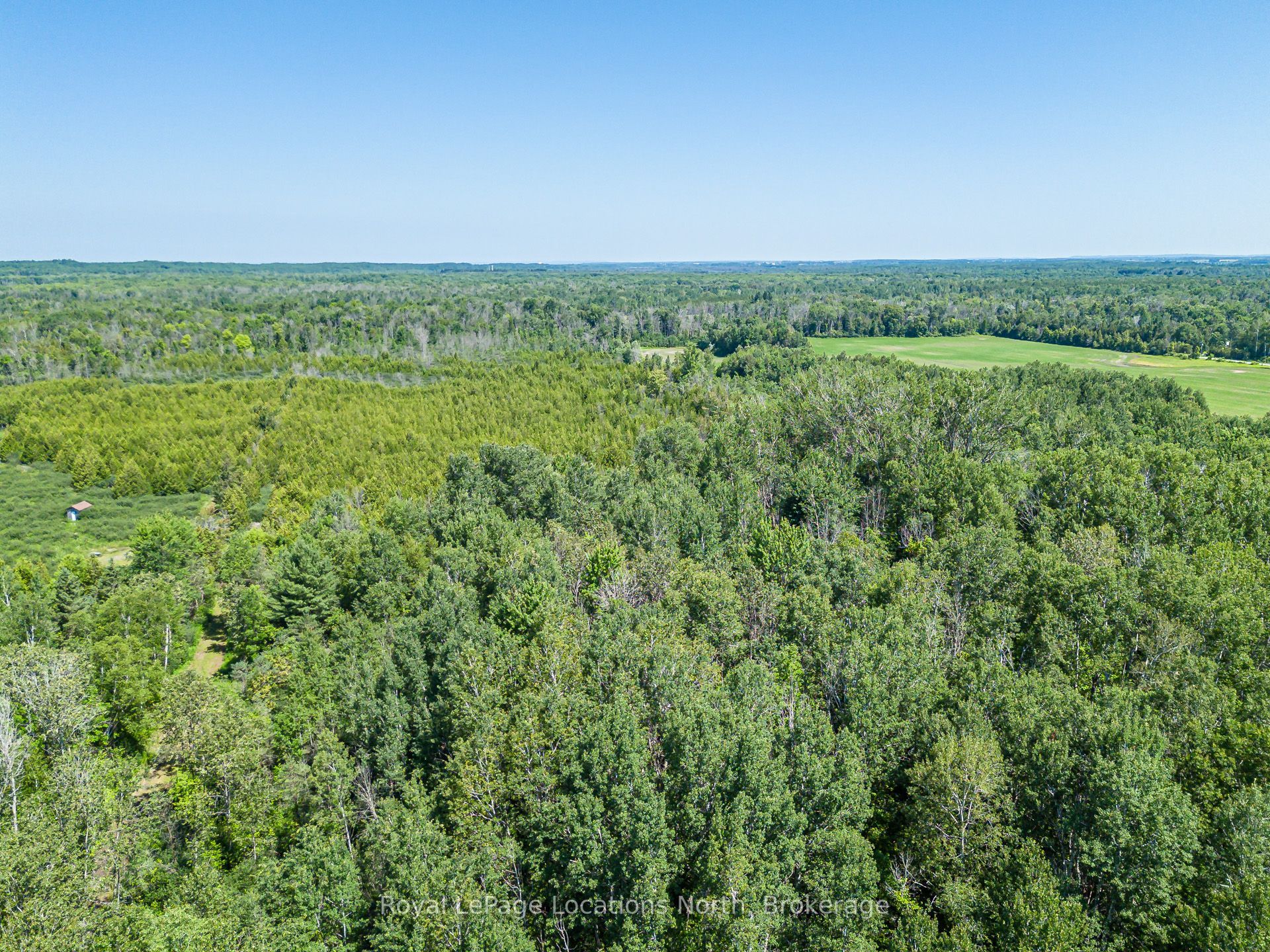 4080 12 Concession, Clearview, ON L0M 1S0 photo 5