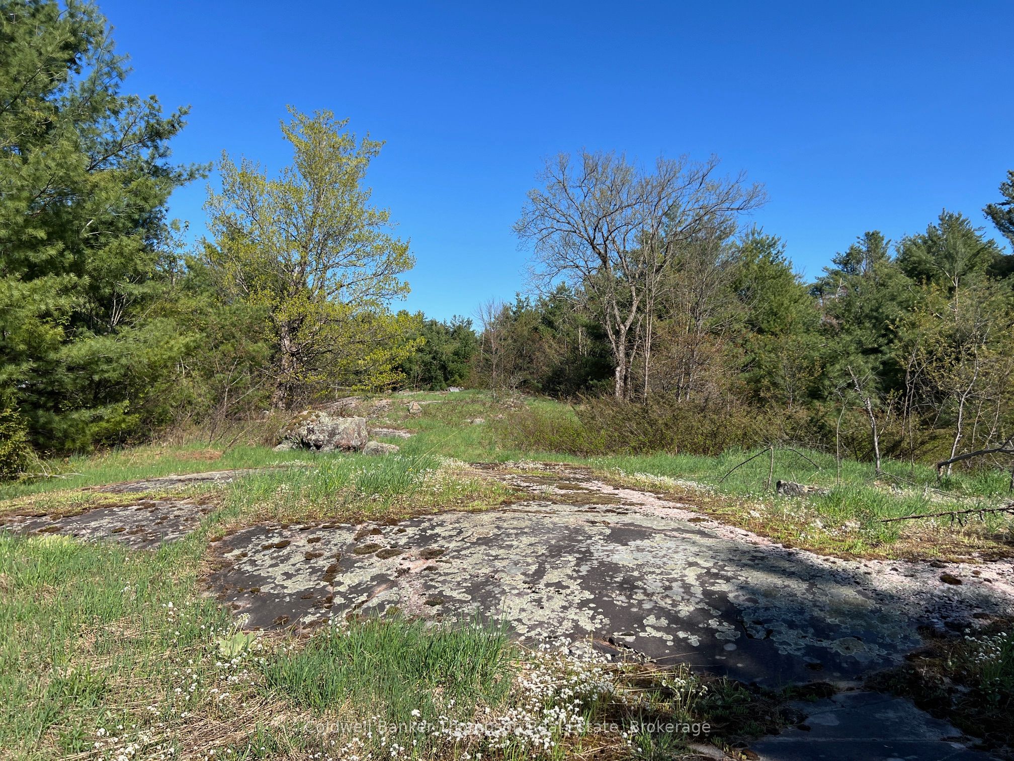 1513 Fairgrounds Road, Ramara, ON L0K 2B0 photo 2